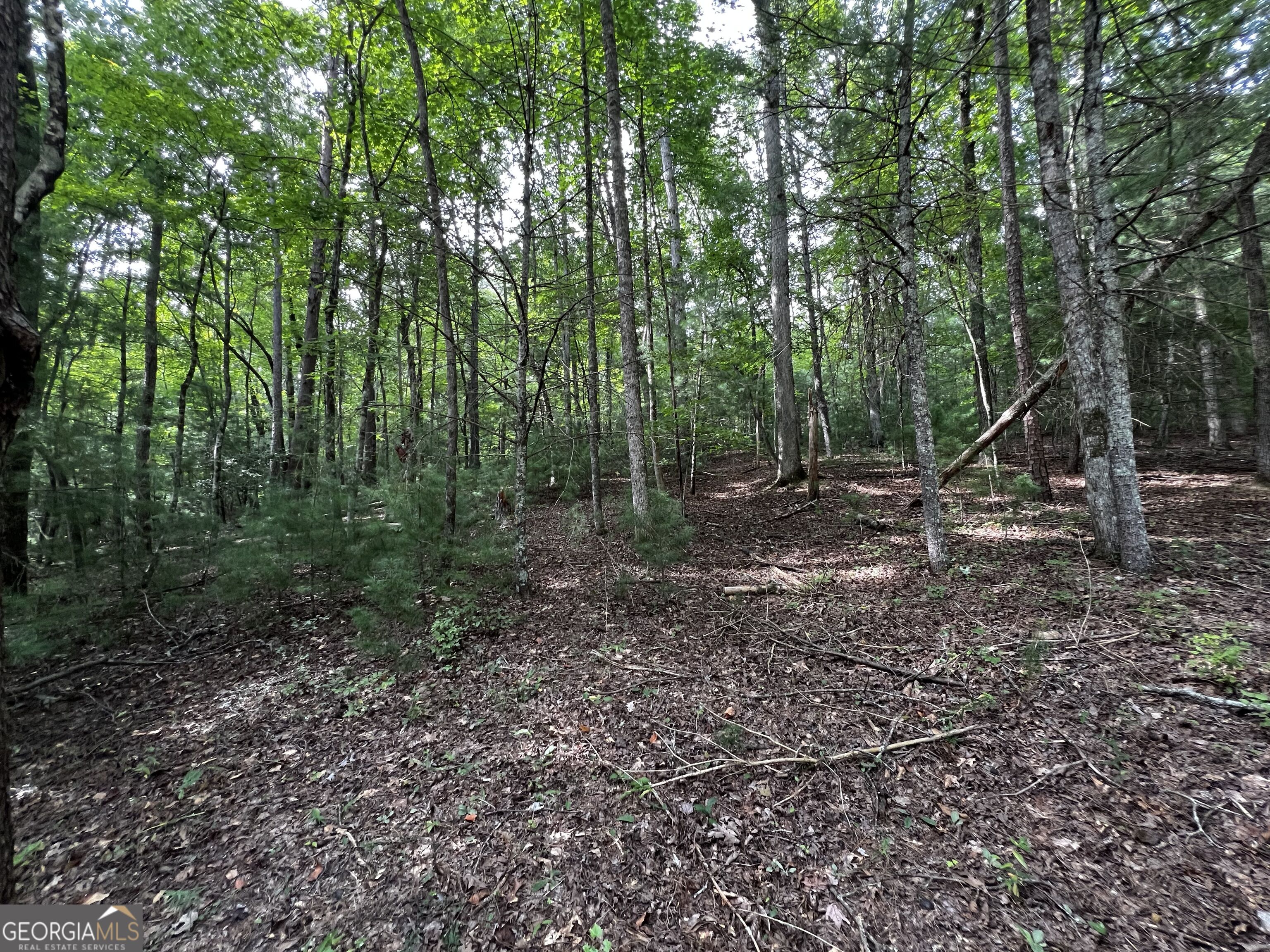 9 Dover Falls Trail Property Photo 4