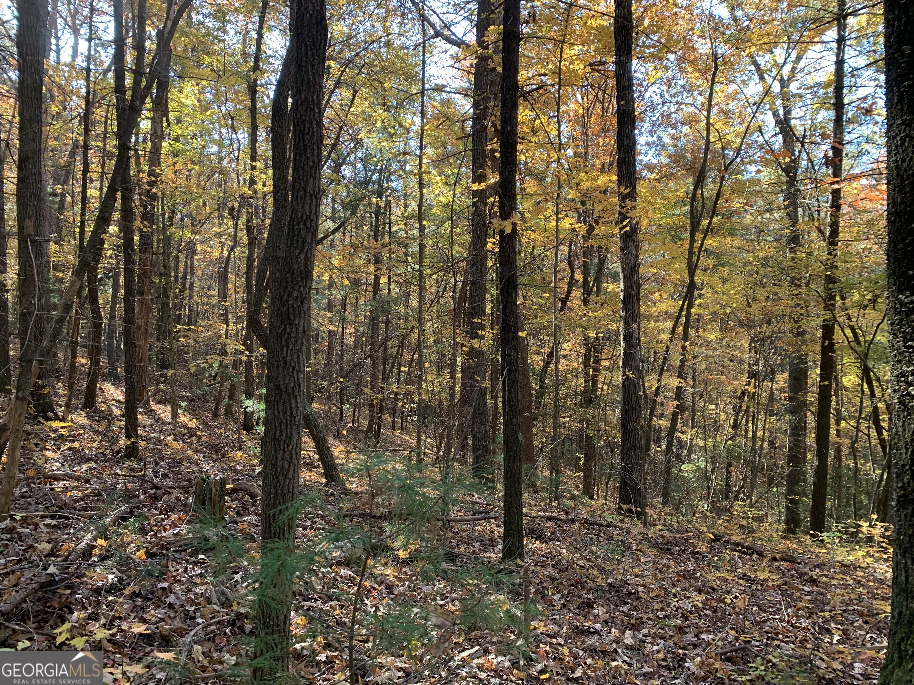 9 Dover Falls Trail Property Photo 5