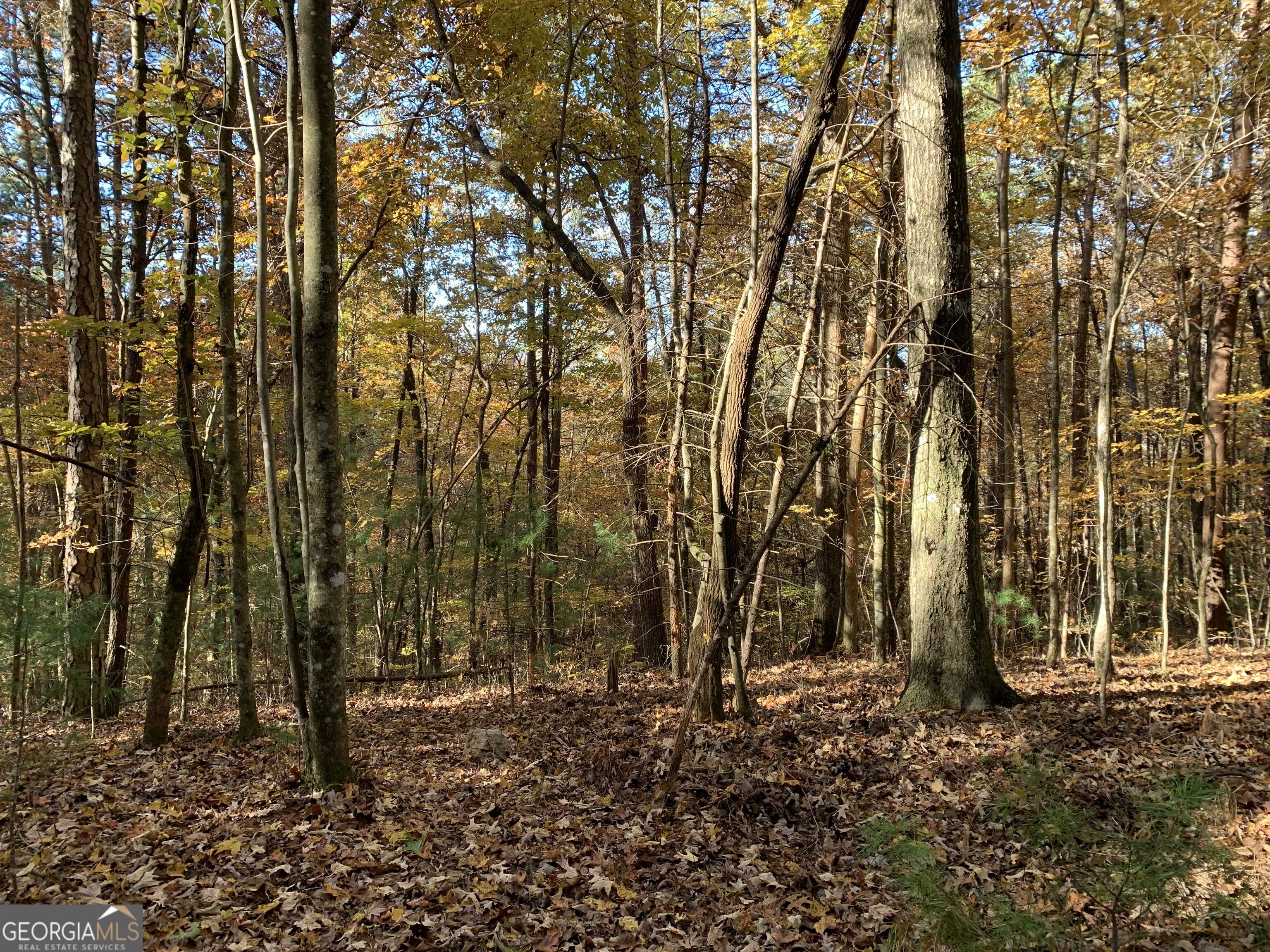 9 Dover Falls Trail Property Photo 6
