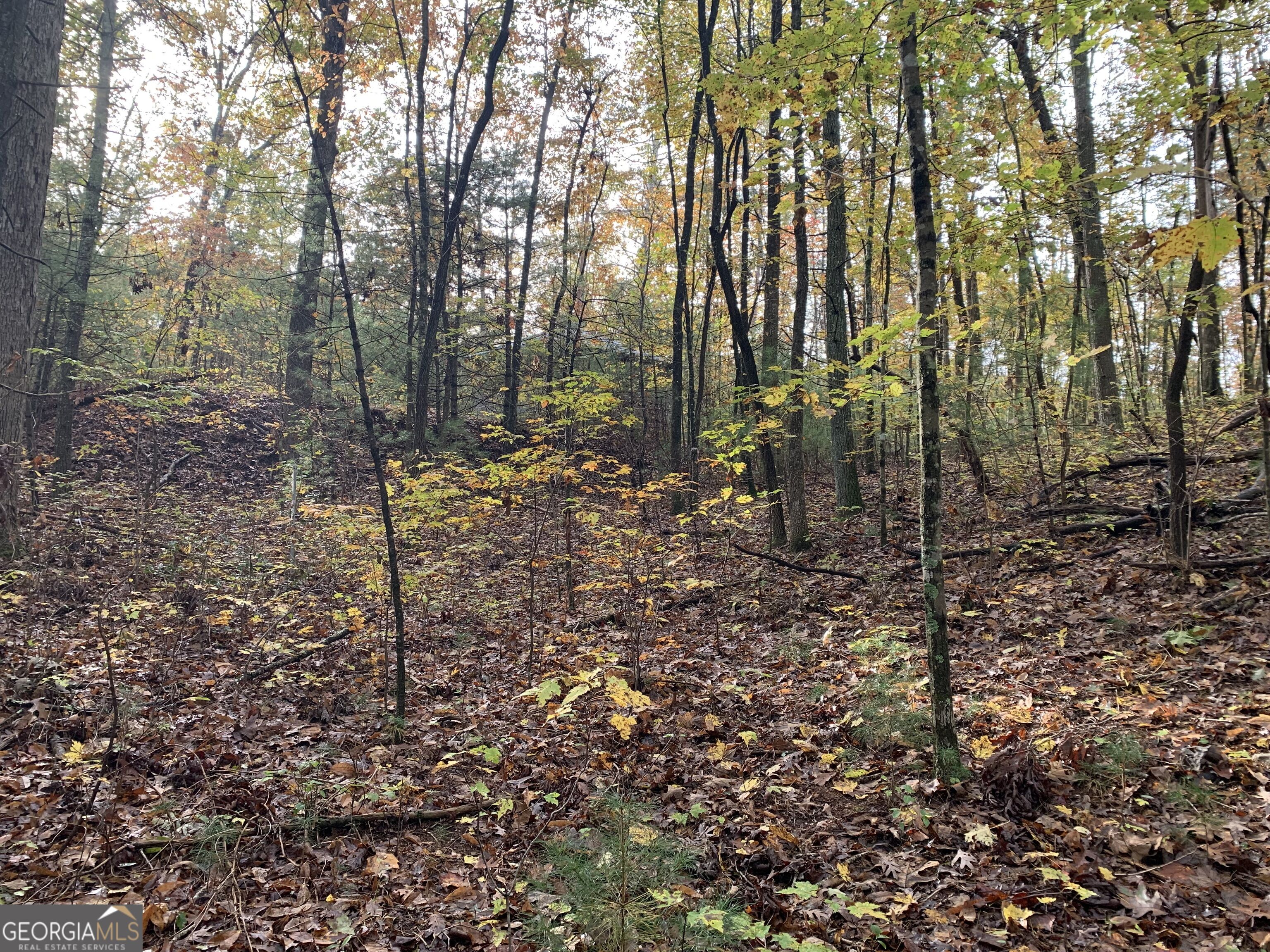 9 Dover Falls Trail Property Photo 7