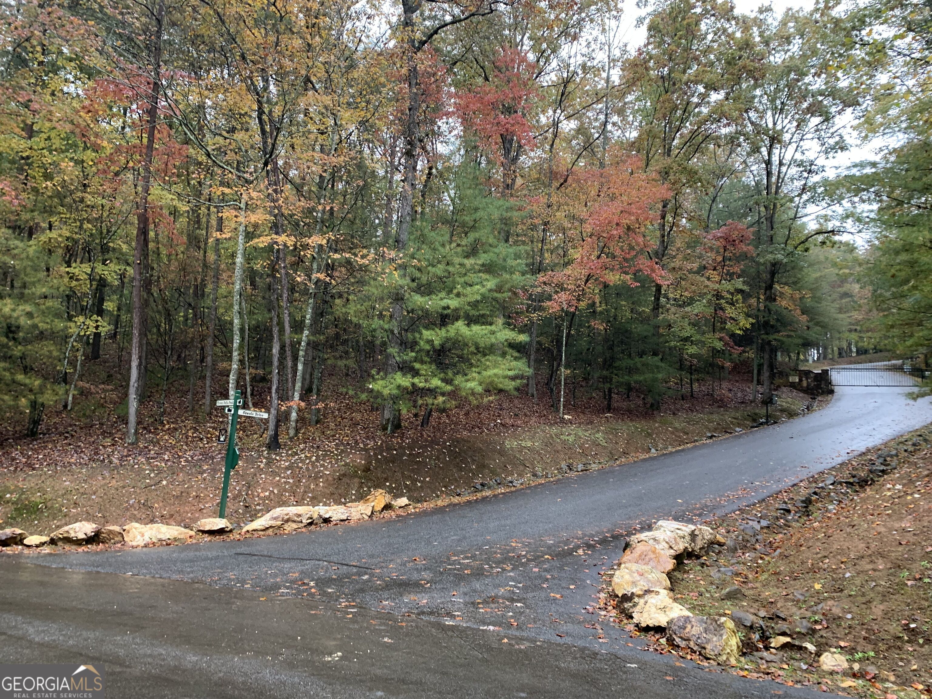 9 Dover Falls Trail Property Photo 8