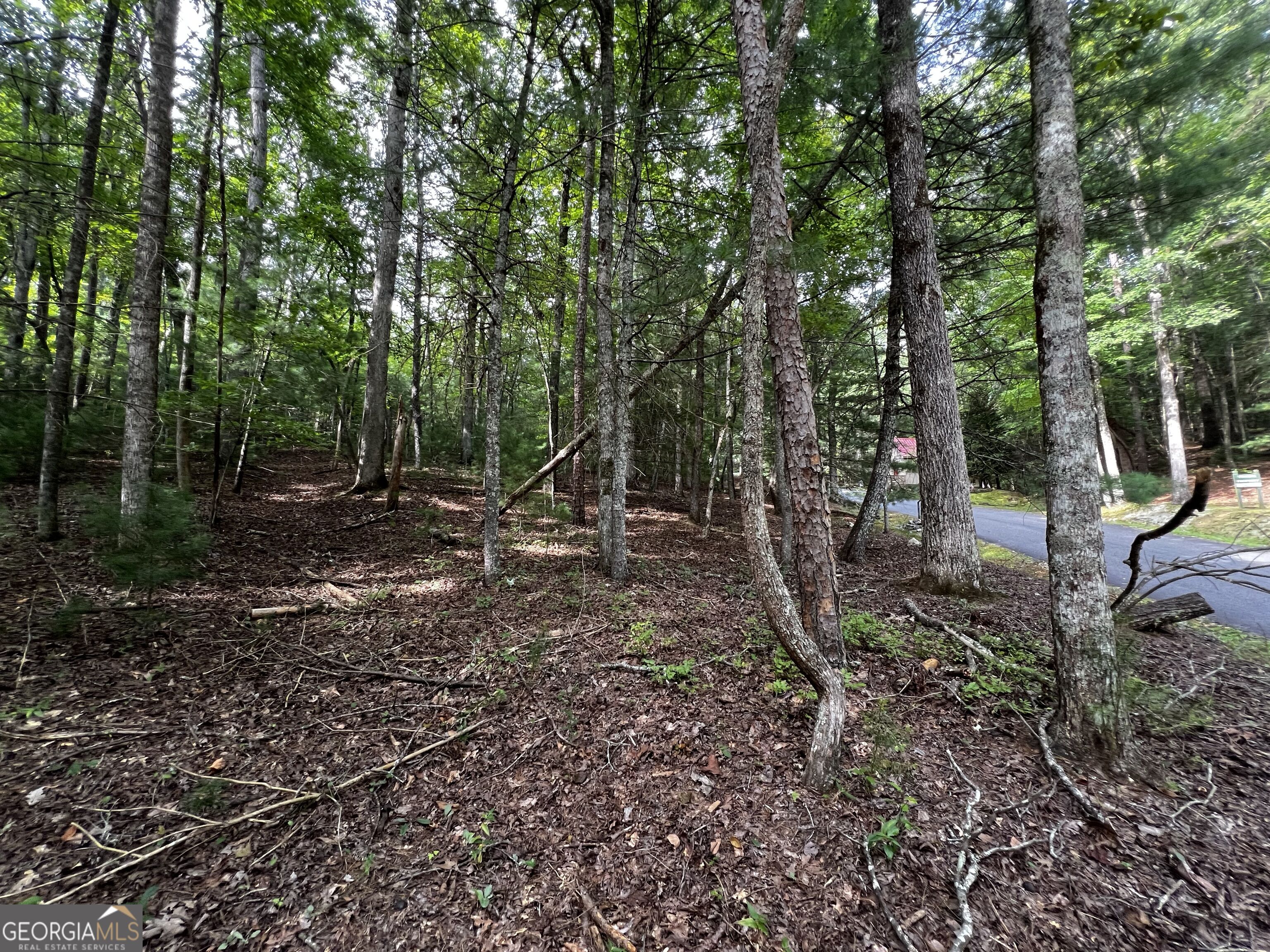 9 Dover Falls Trail Property Photo 10