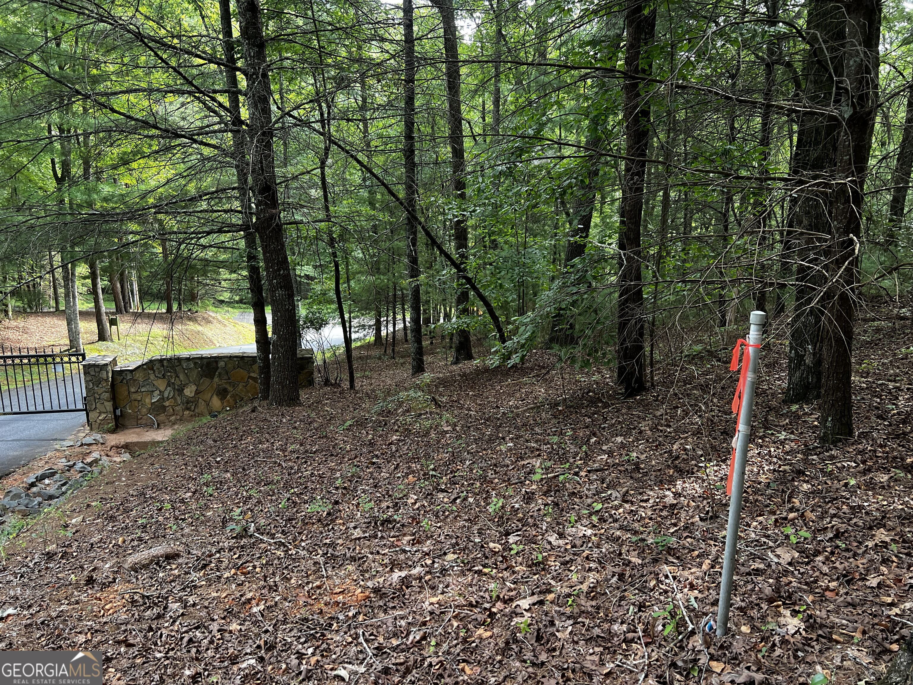 9 Dover Falls Trail Property Photo 13