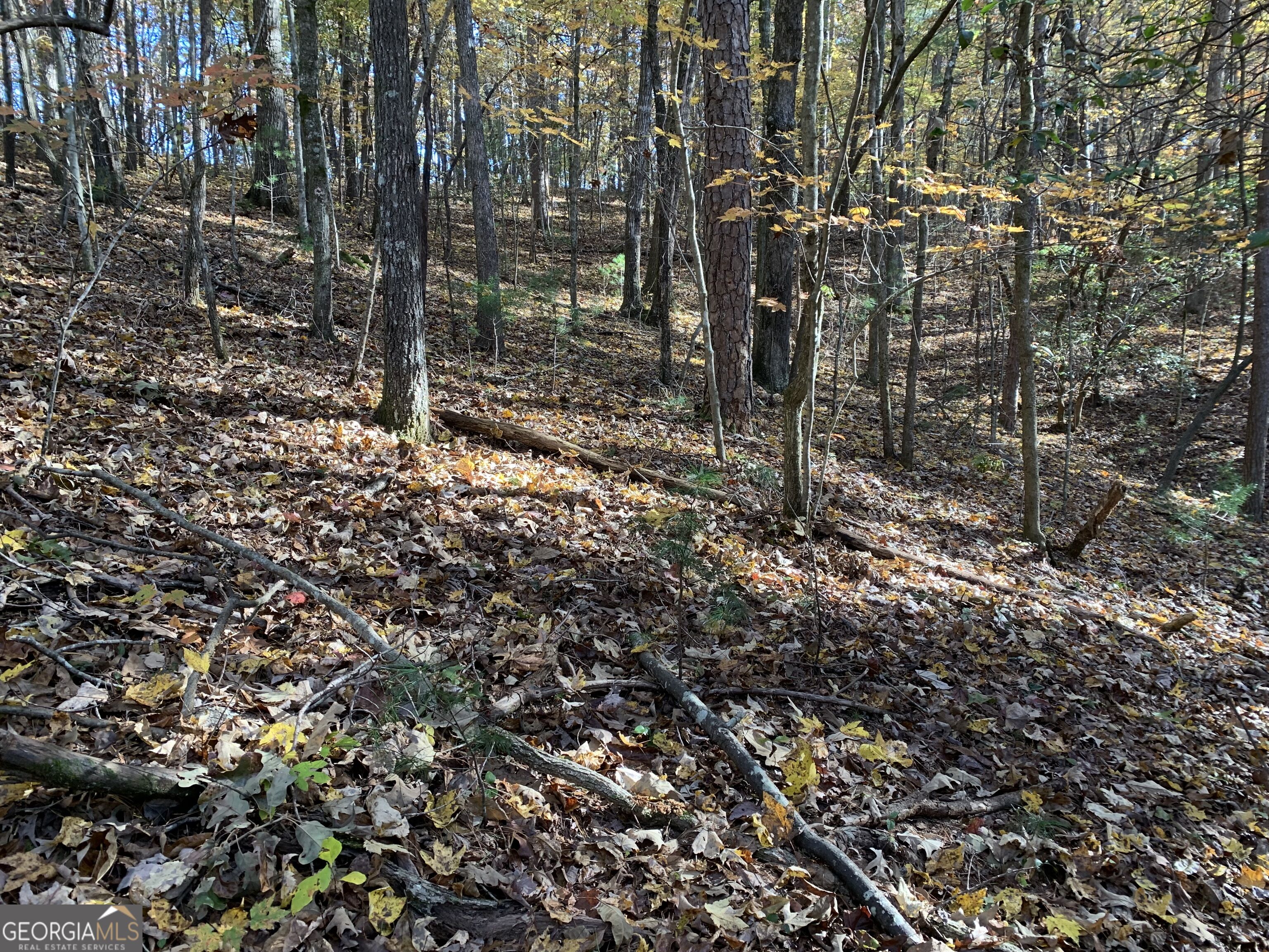 9 Dover Falls Trail Property Photo 14