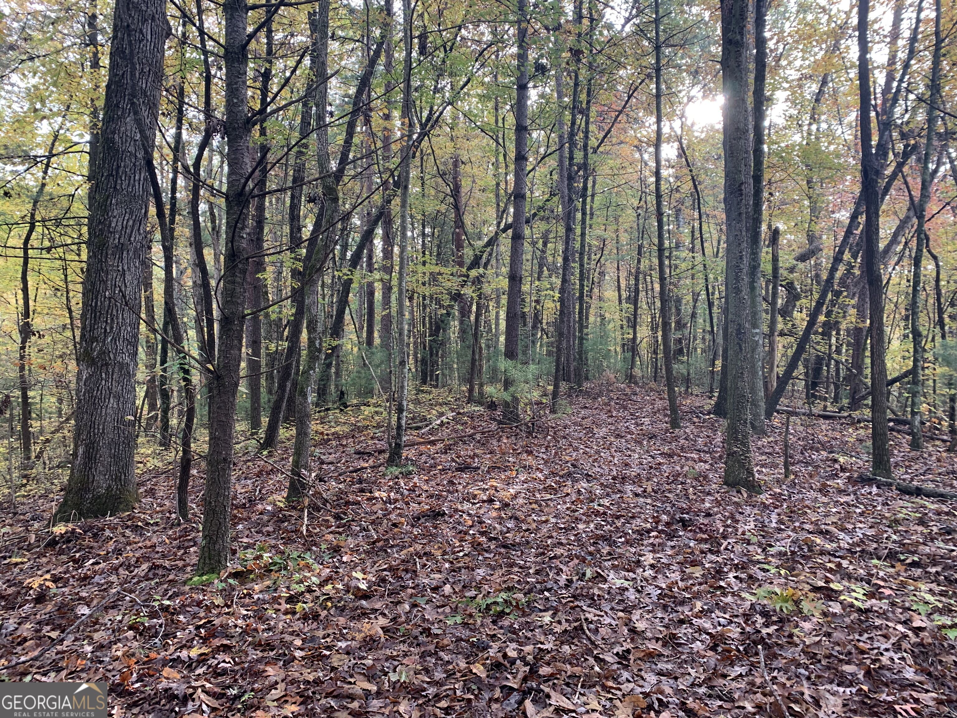 9 Dover Falls Trail Property Photo 15