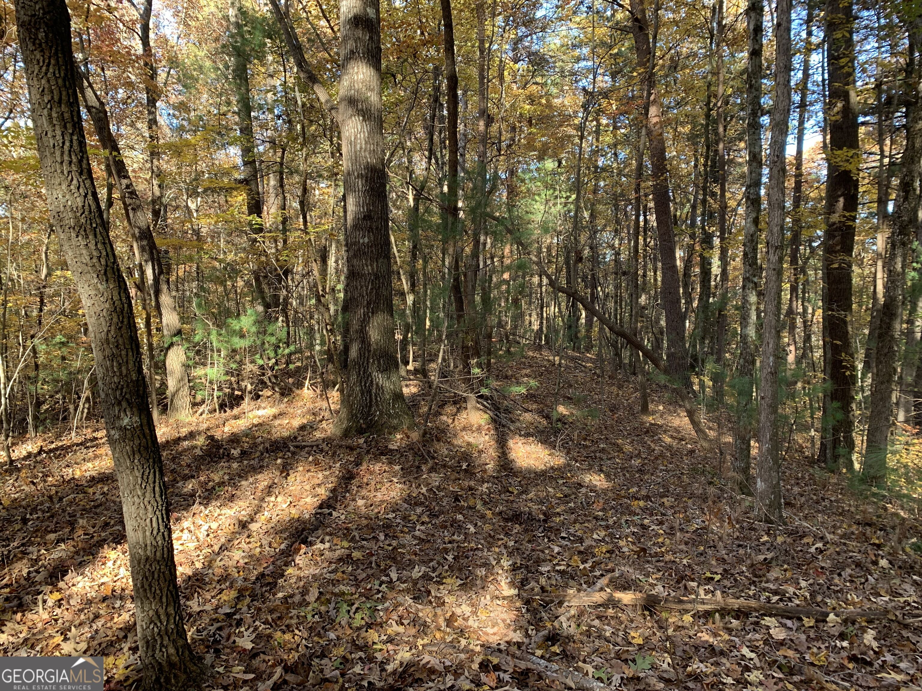 9 Dover Falls Trail Property Photo 16