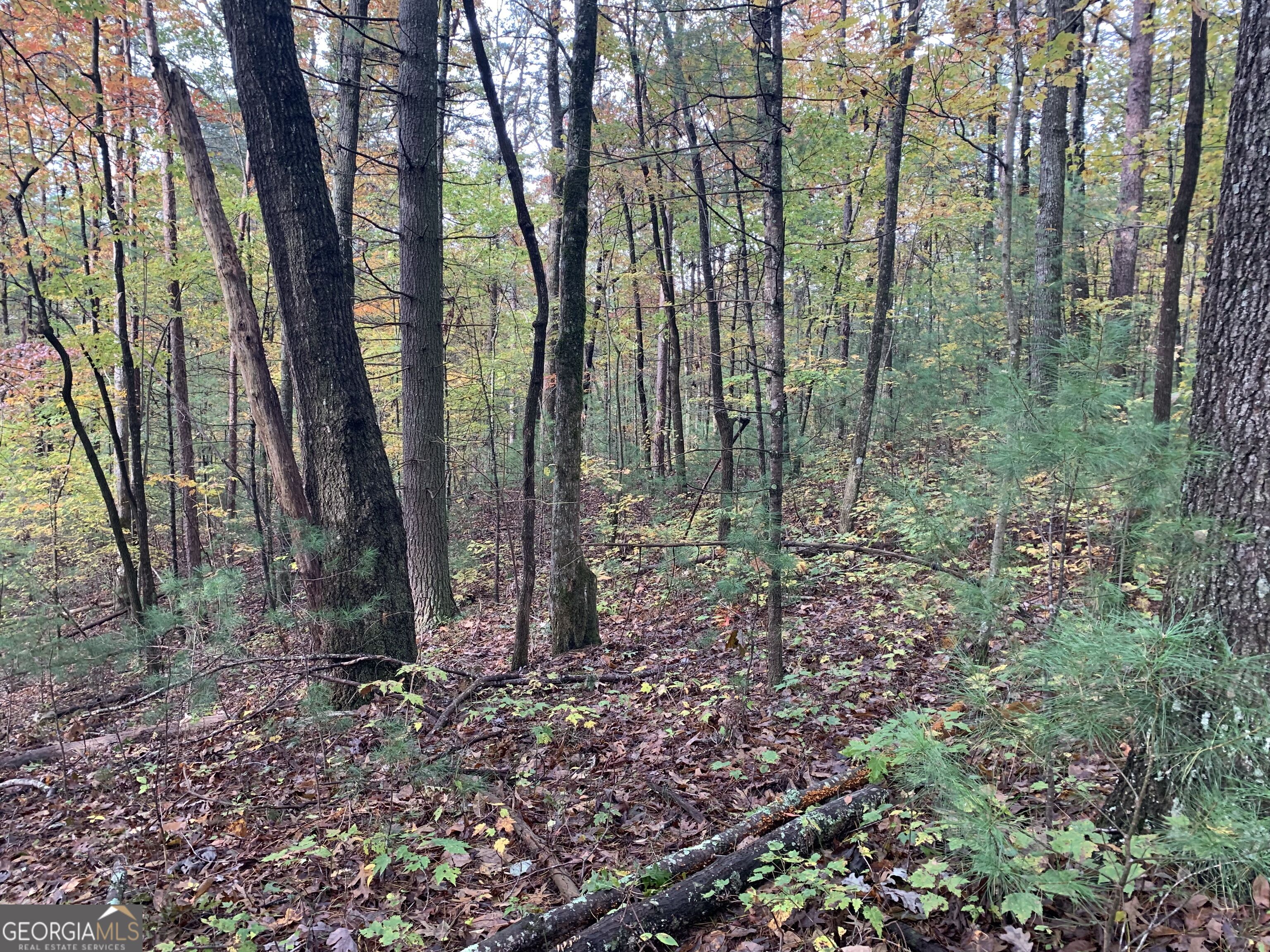9 Dover Falls Trail Property Photo 18