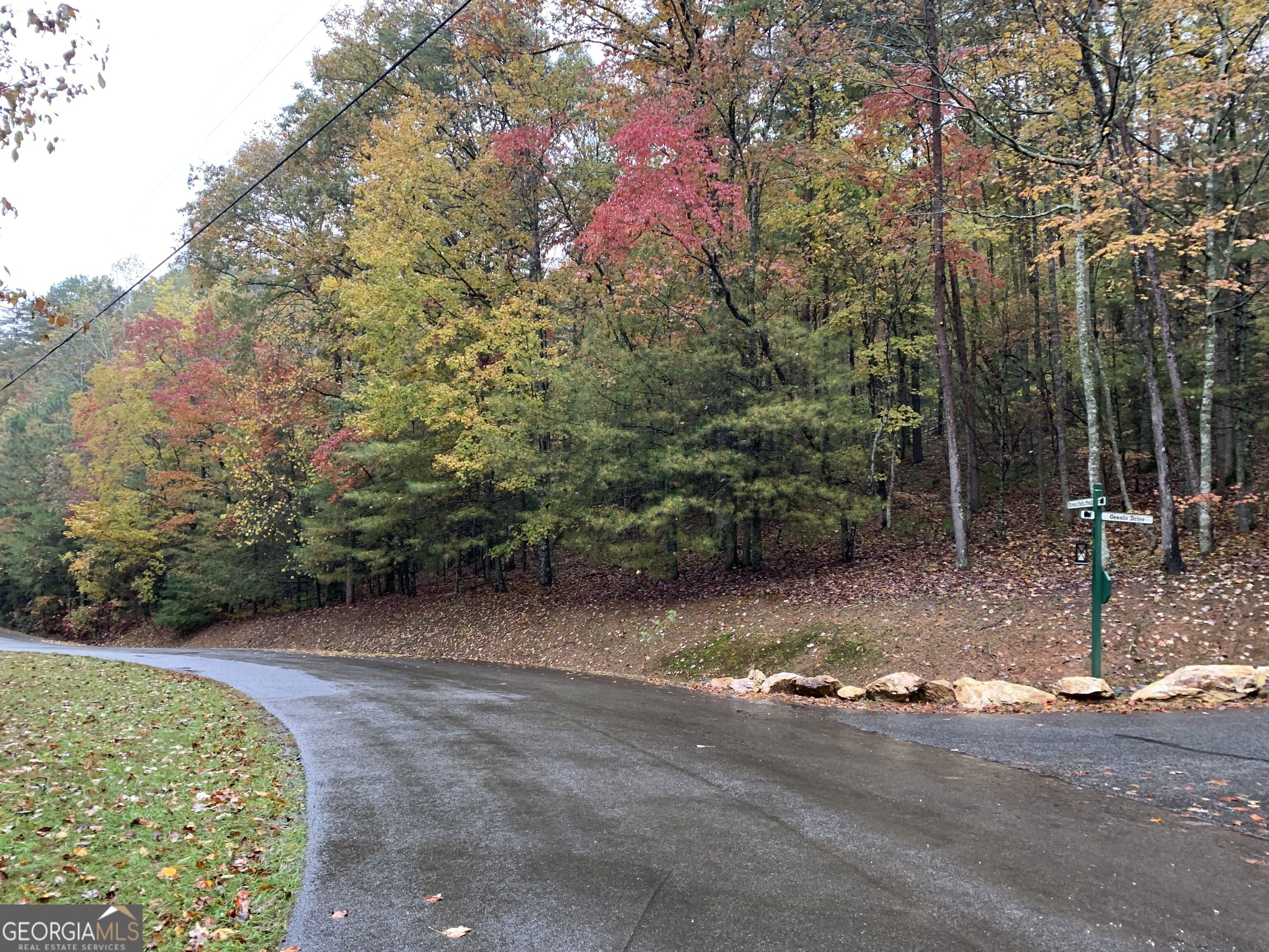 9 Dover Falls Trail Property Photo 19