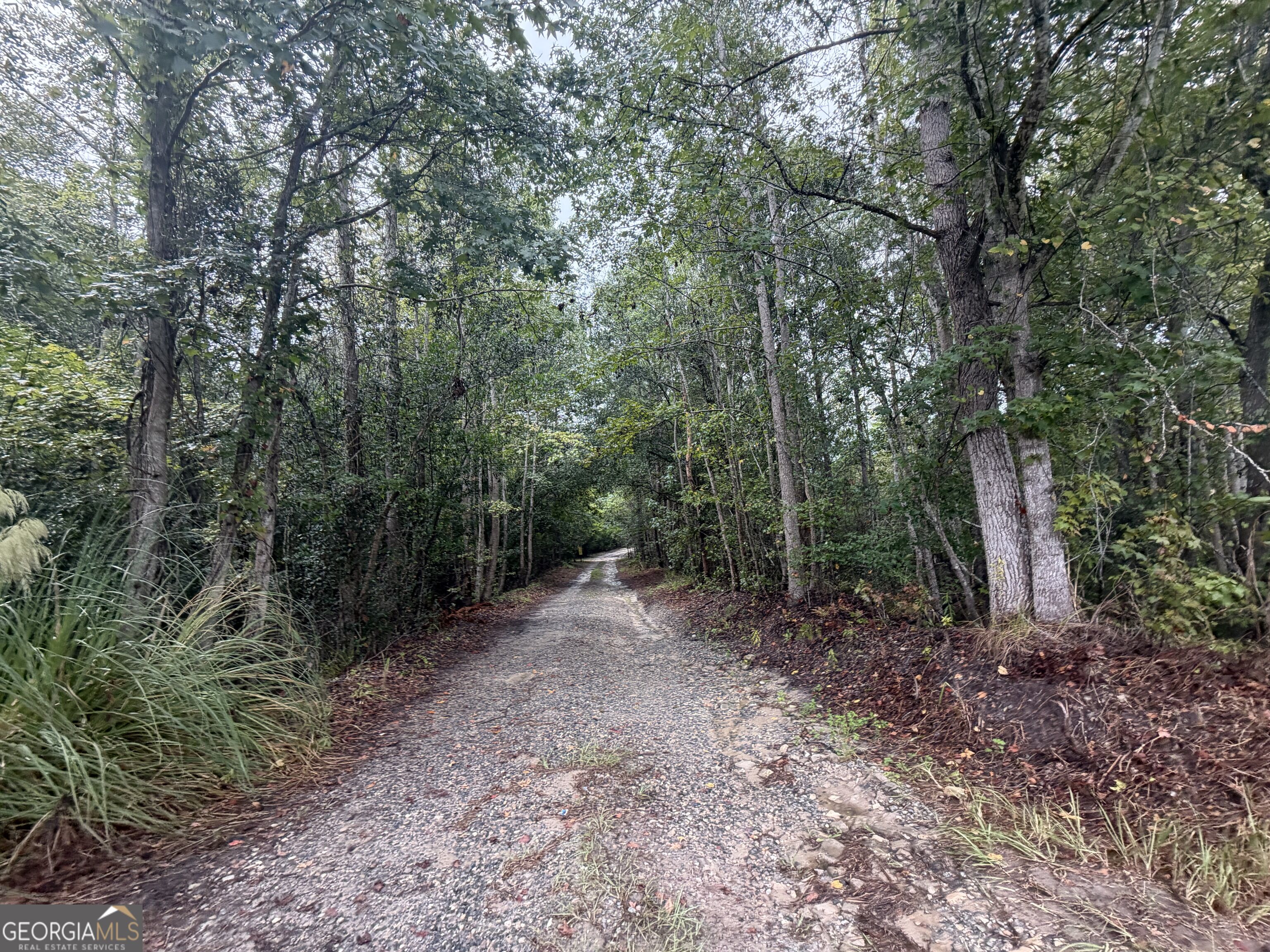 0 Jamestown Road Property Photo 14