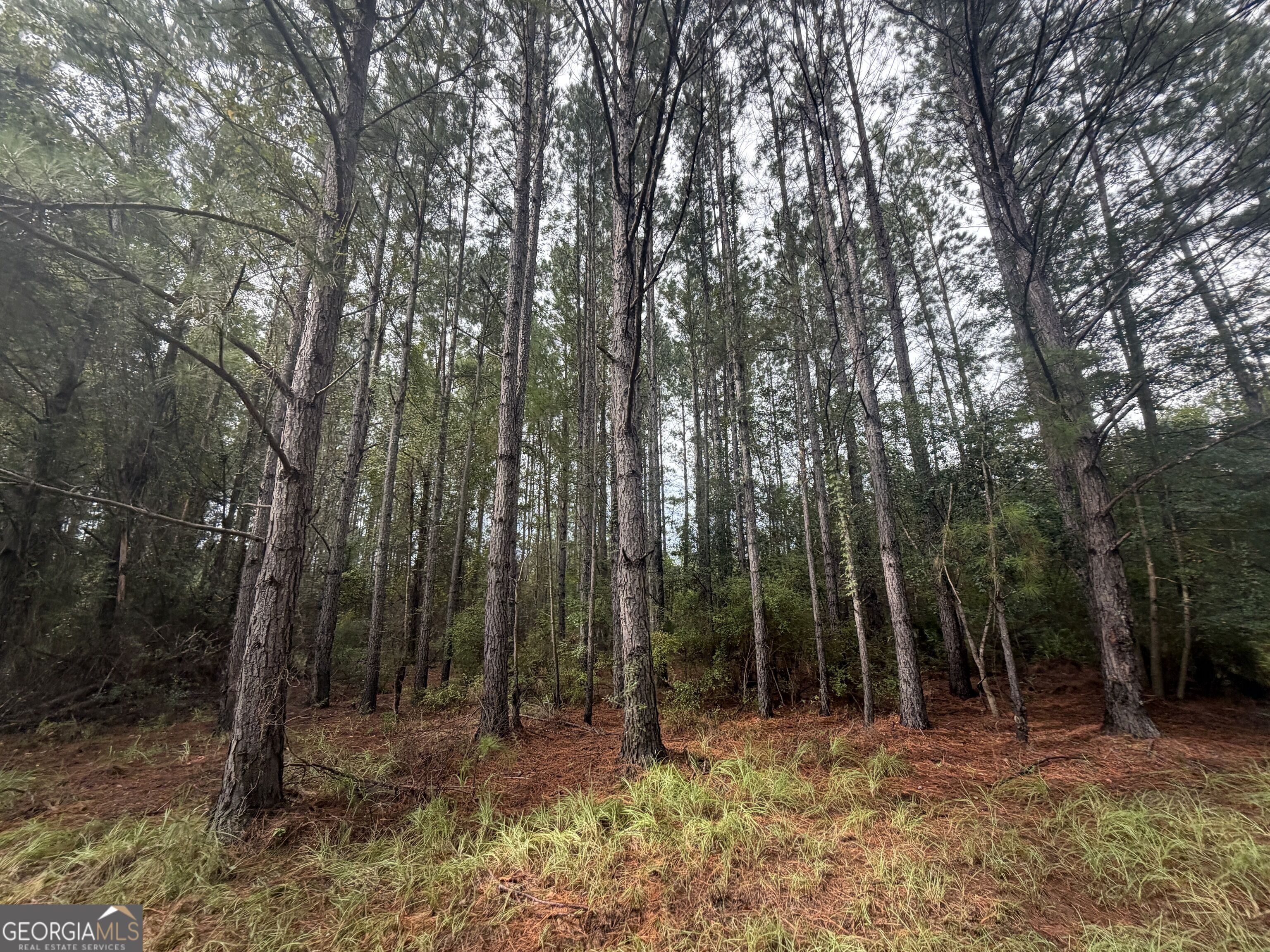 0 Jamestown Road Property Photo 15