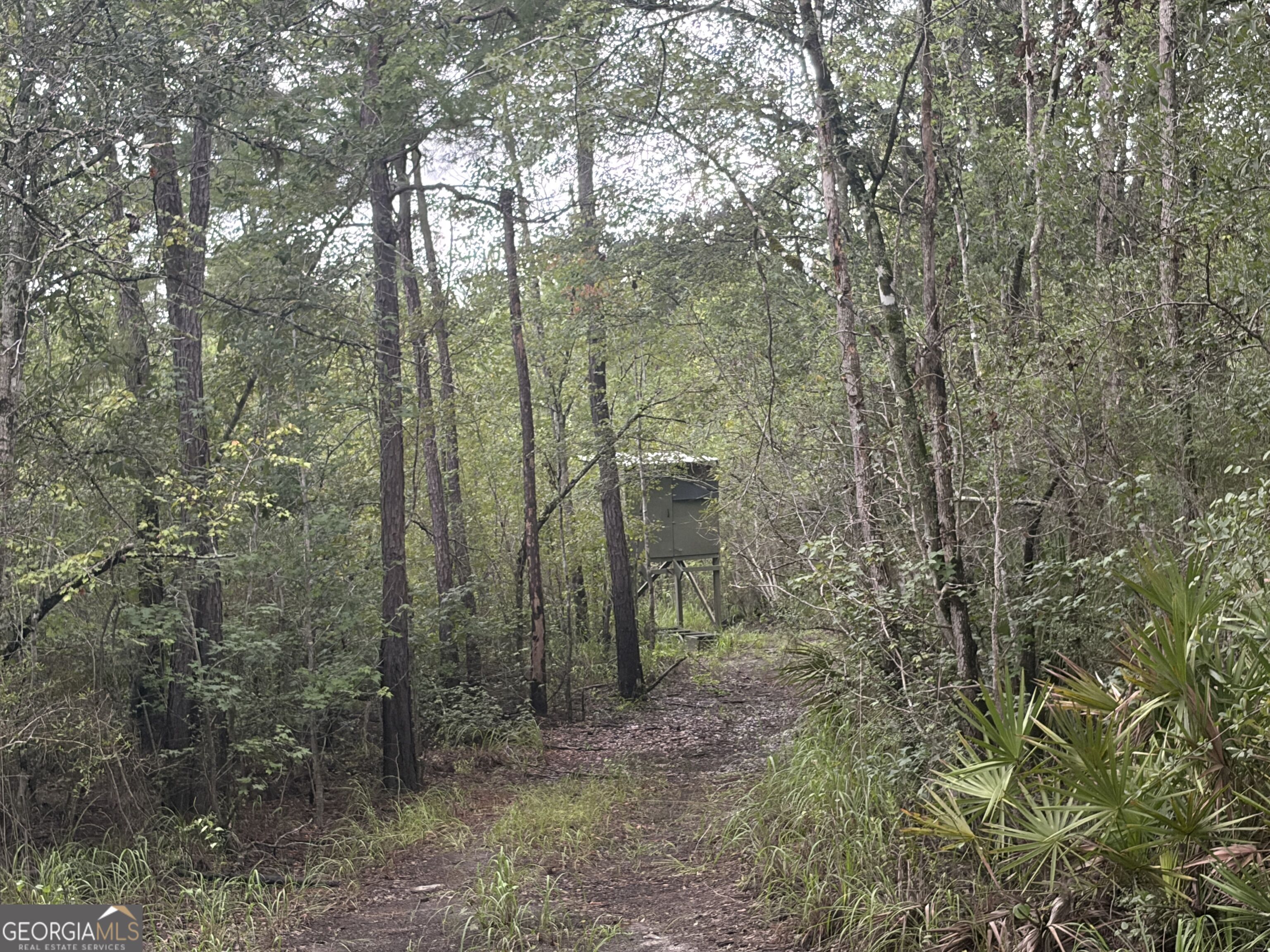 0 Jamestown Road Property Photo 16