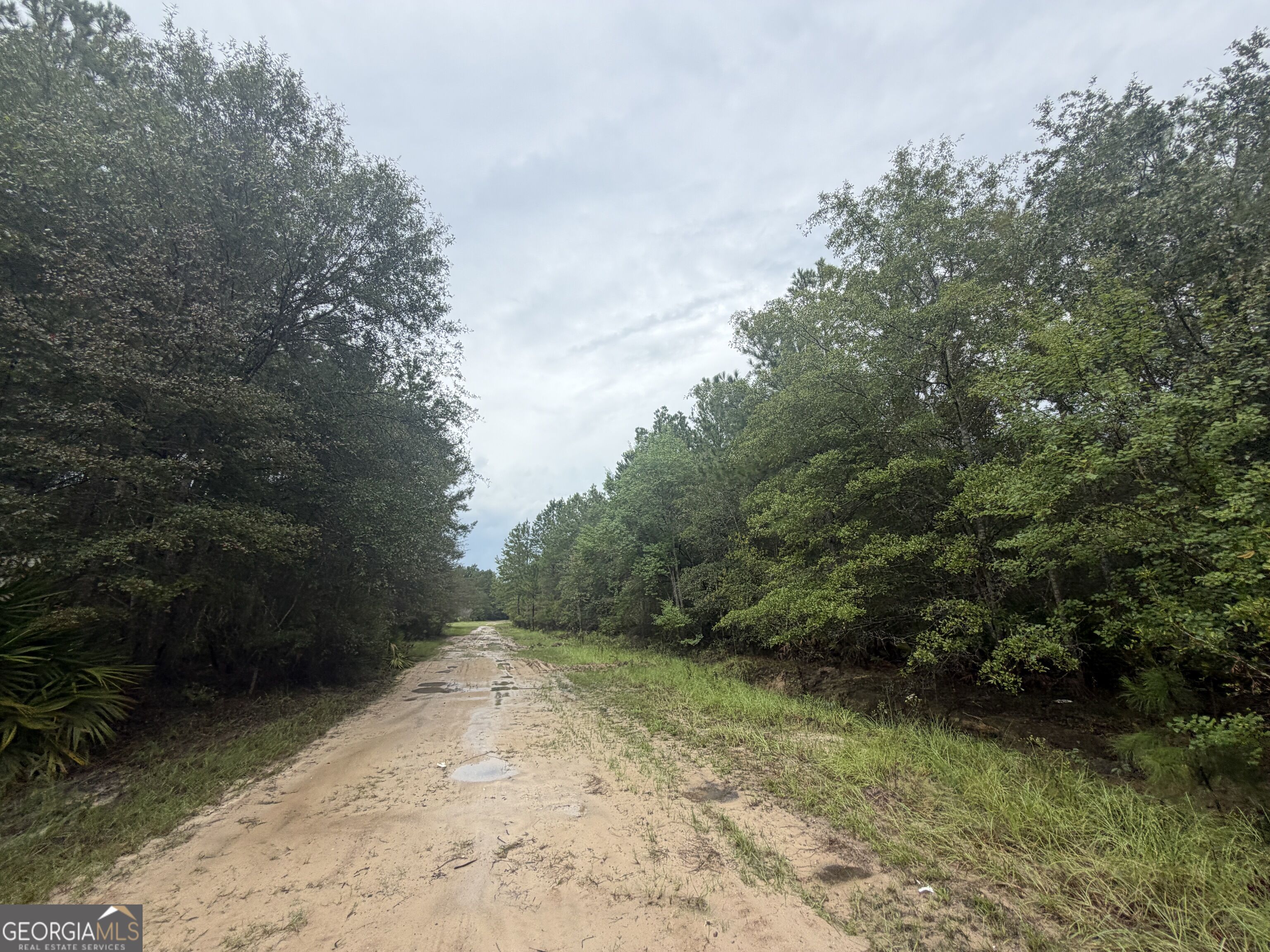 0 Jamestown Road Property Photo 17