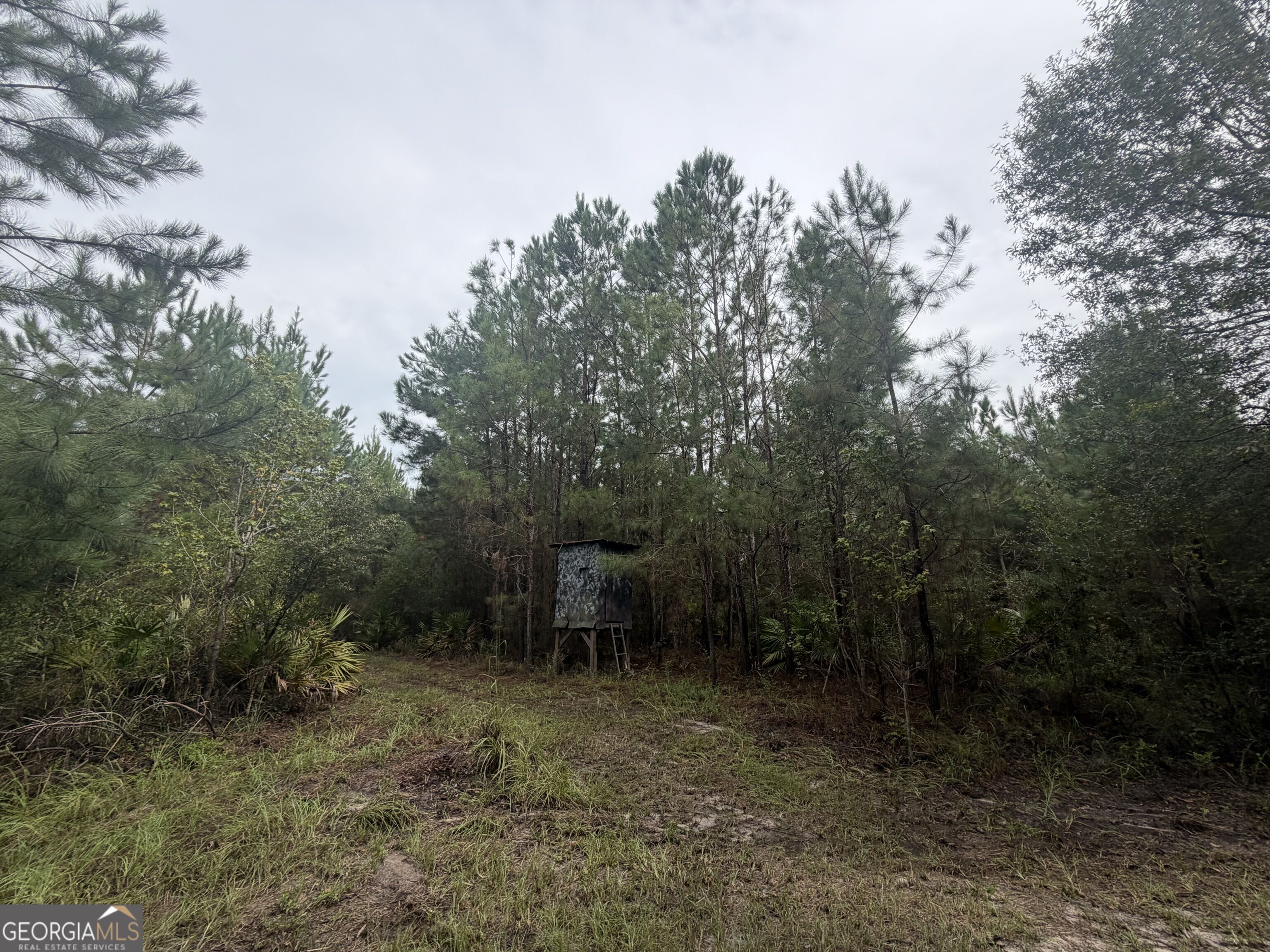 0 Jamestown Road Property Photo 18