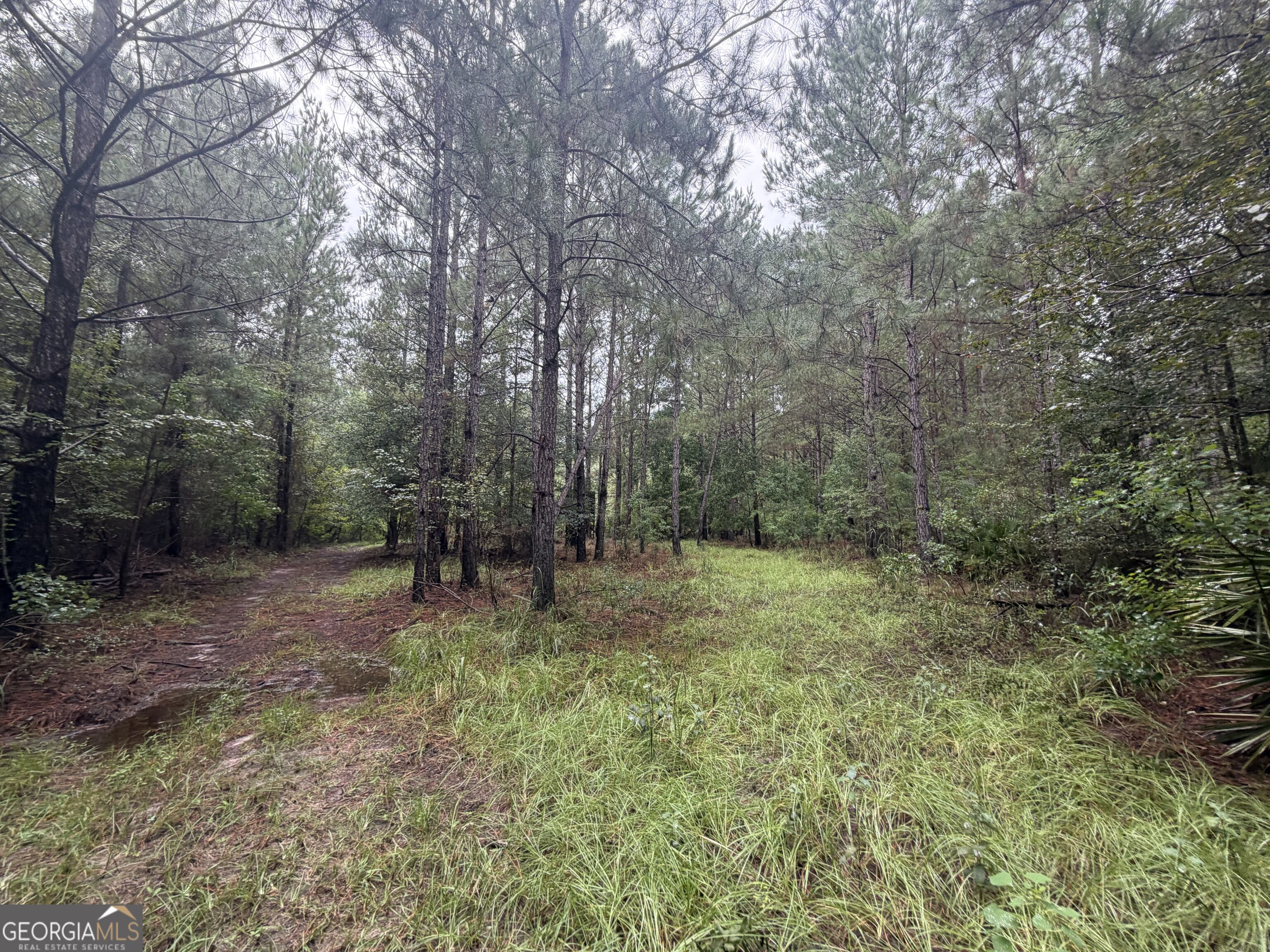 0 Jamestown Road Property Photo 19