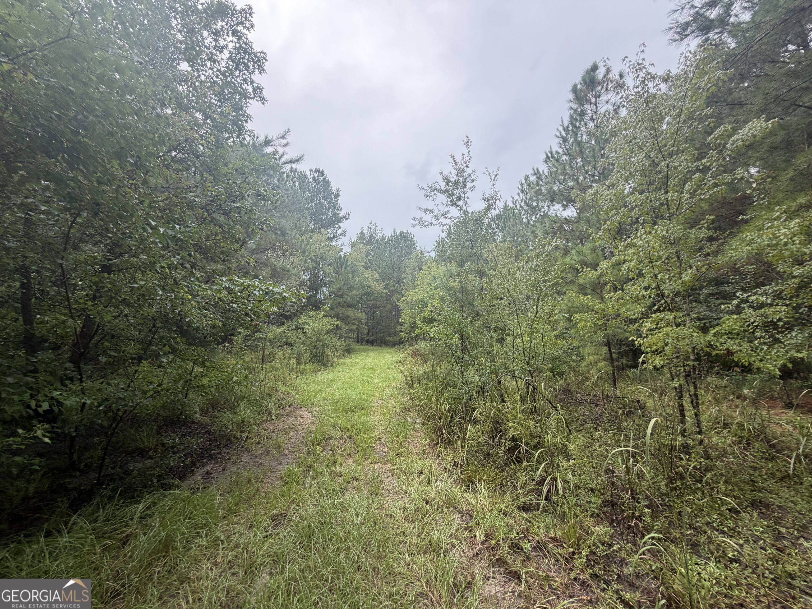 0 Jamestown Road Property Photo 21