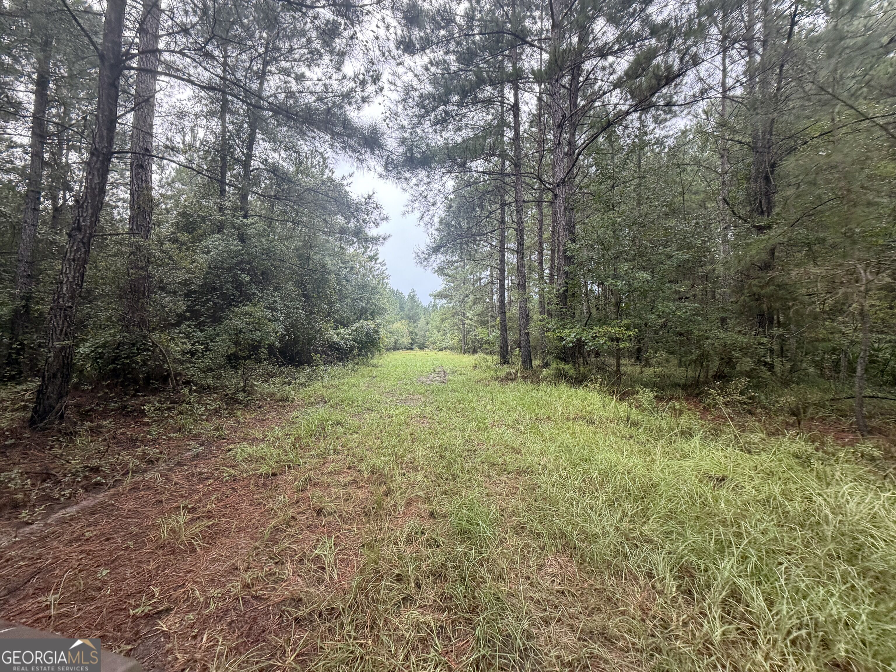 0 Jamestown Road Property Photo 24
