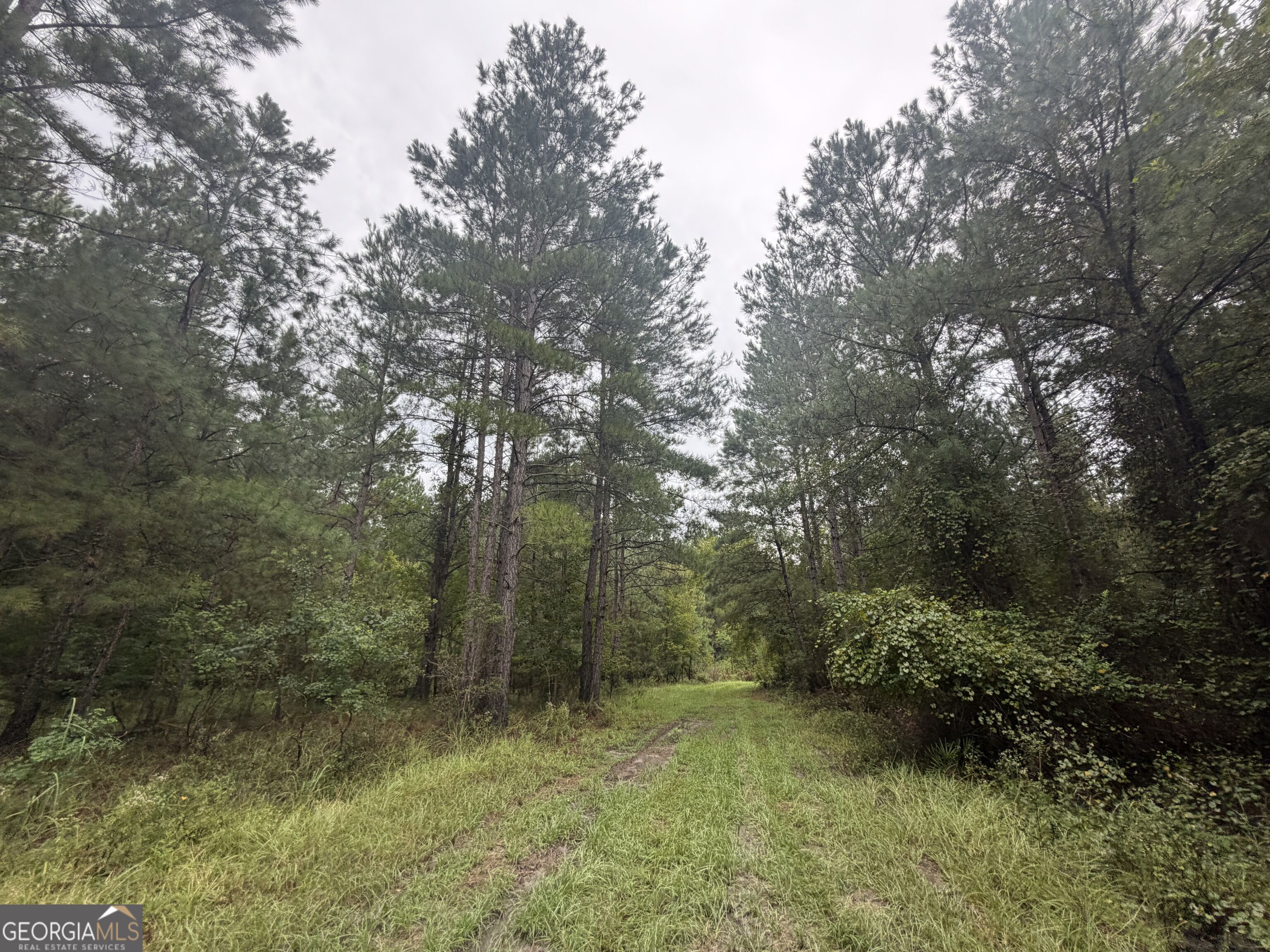 0 Jamestown Road Property Photo 26