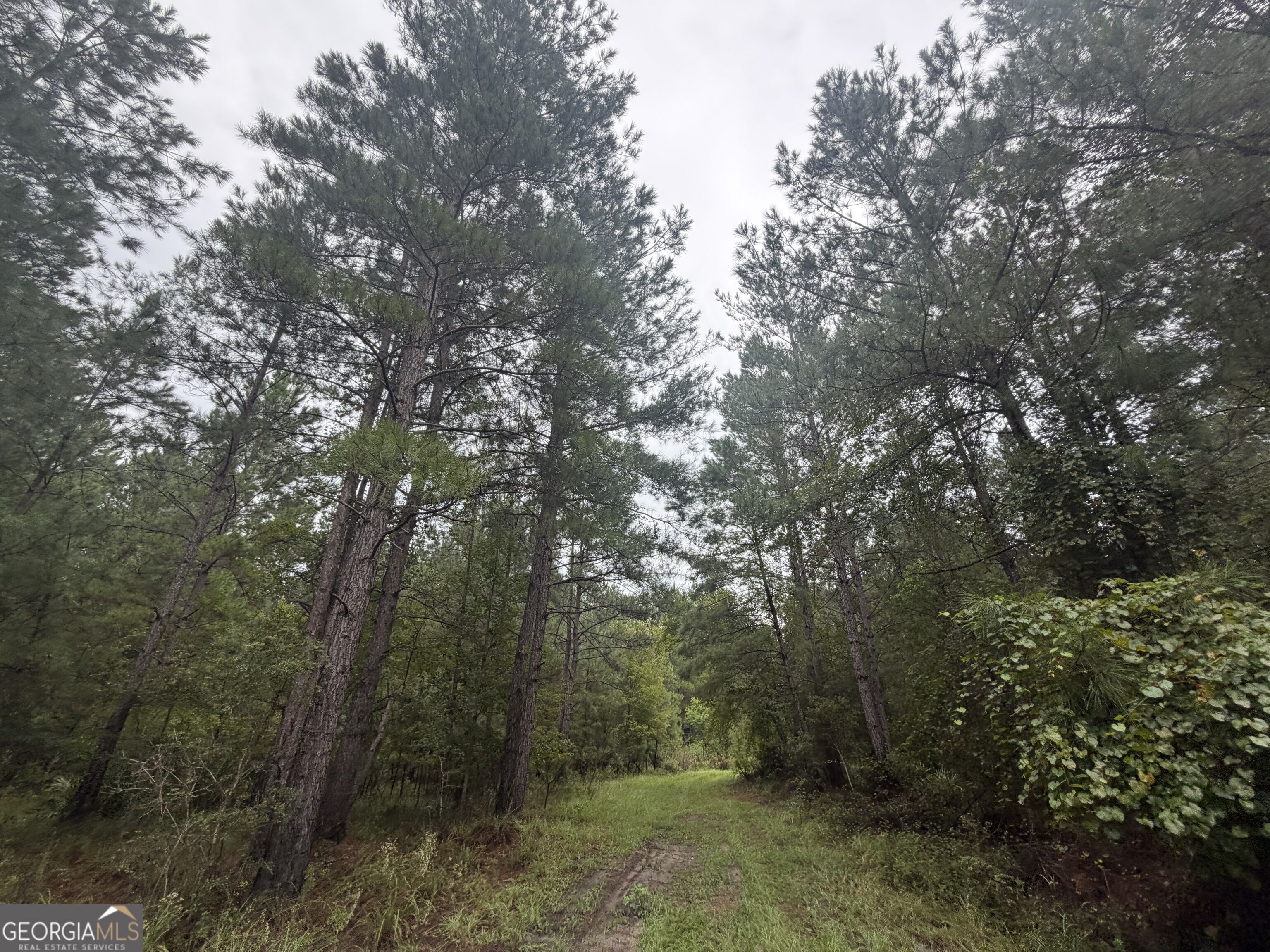 0 Jamestown Road Property Photo 27