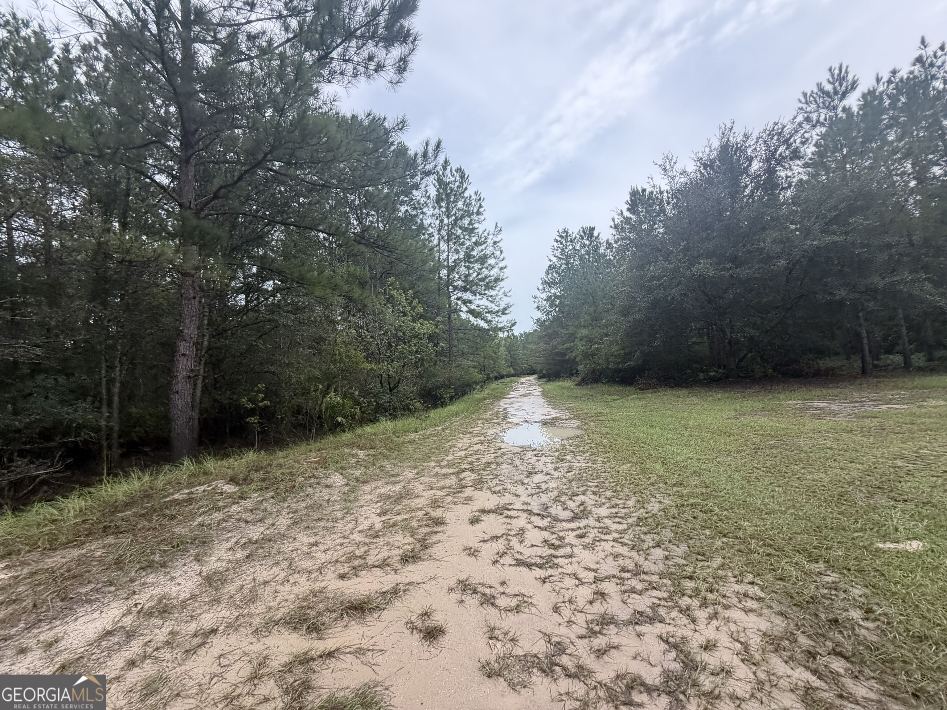 0 Jamestown Road Property Photo 29