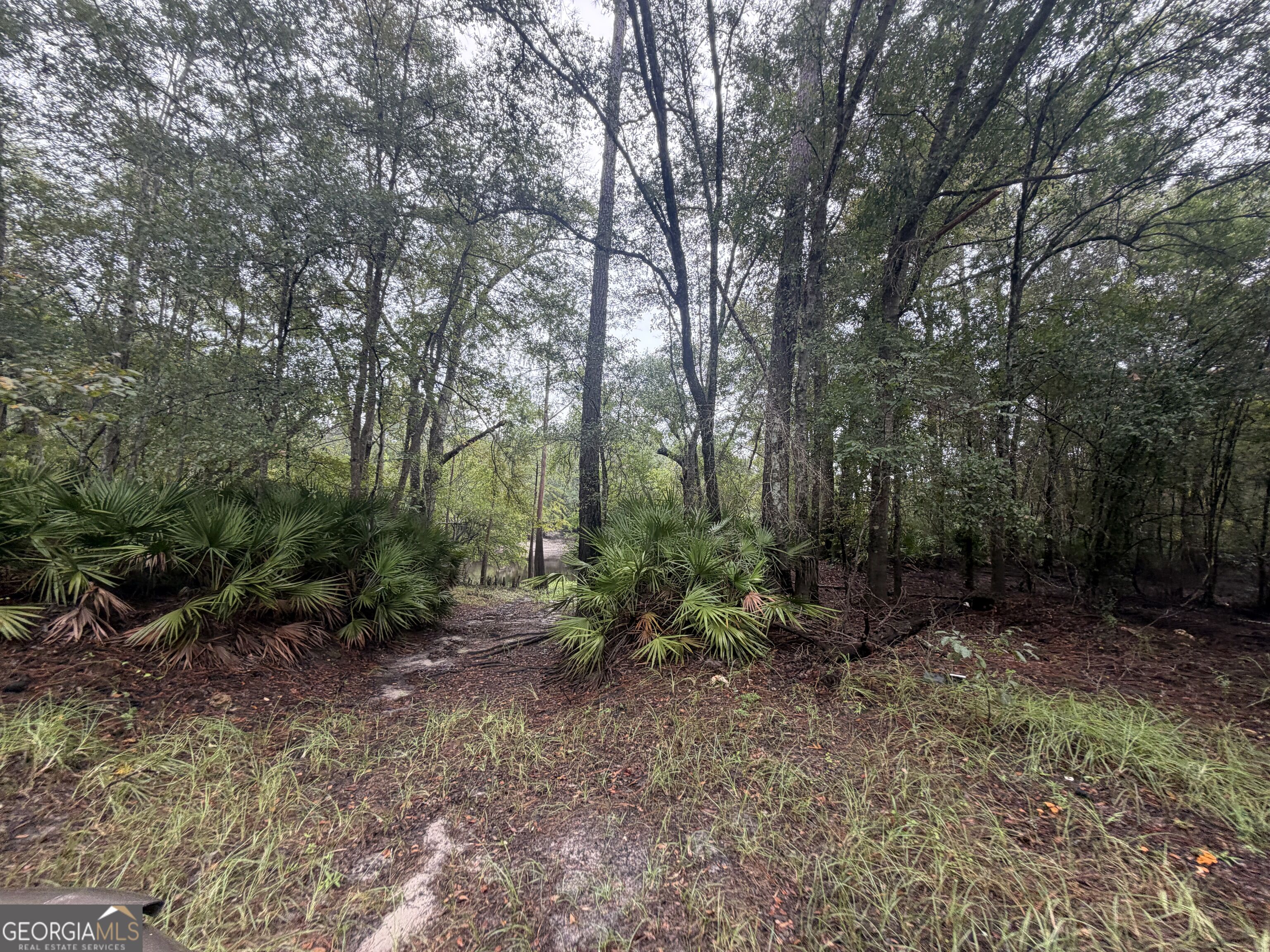 0 Jamestown Road Property Photo 31