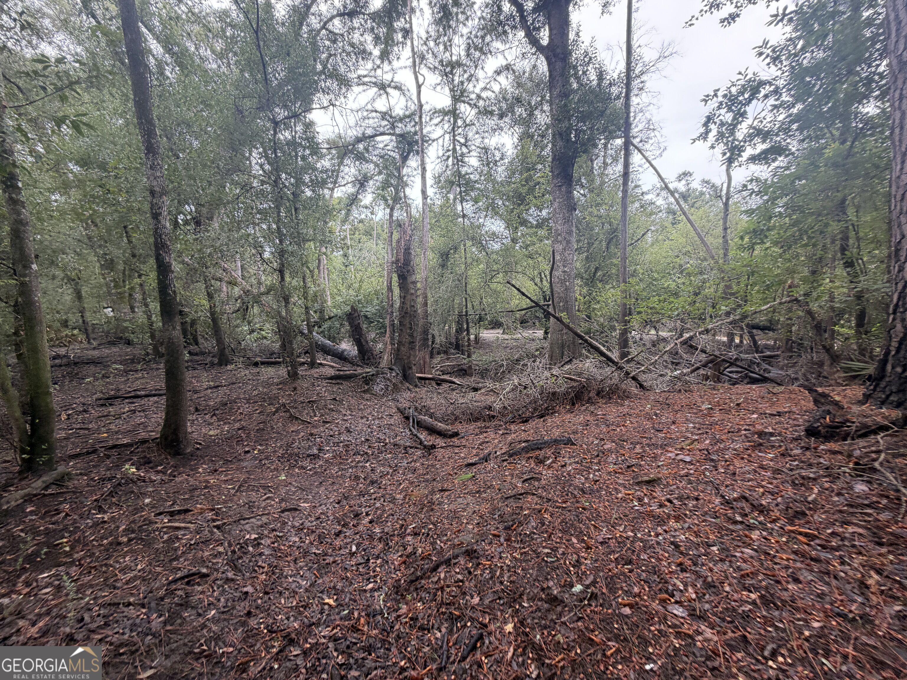 0 Jamestown Road Property Photo 33