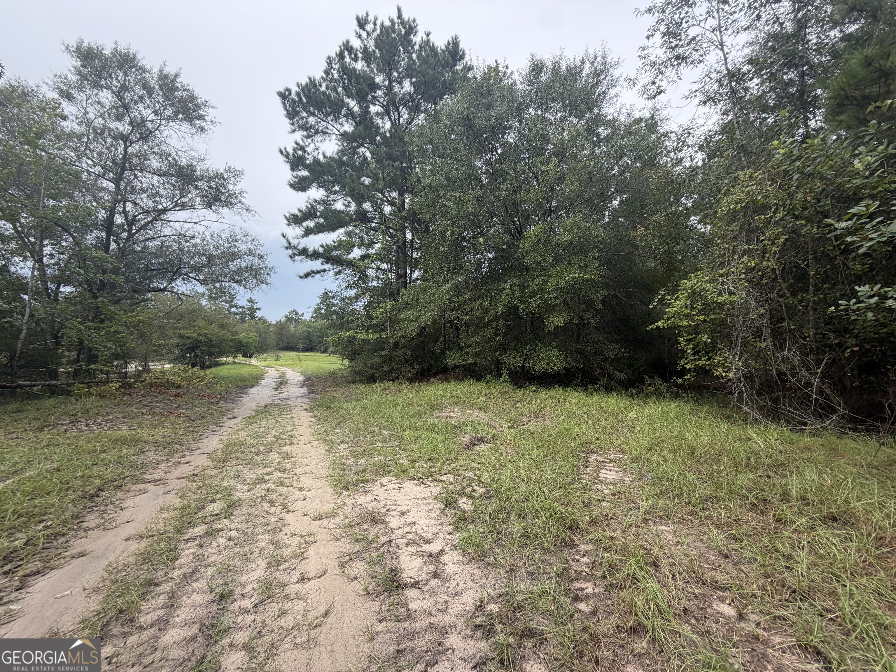 0 Jamestown Road Property Photo 40