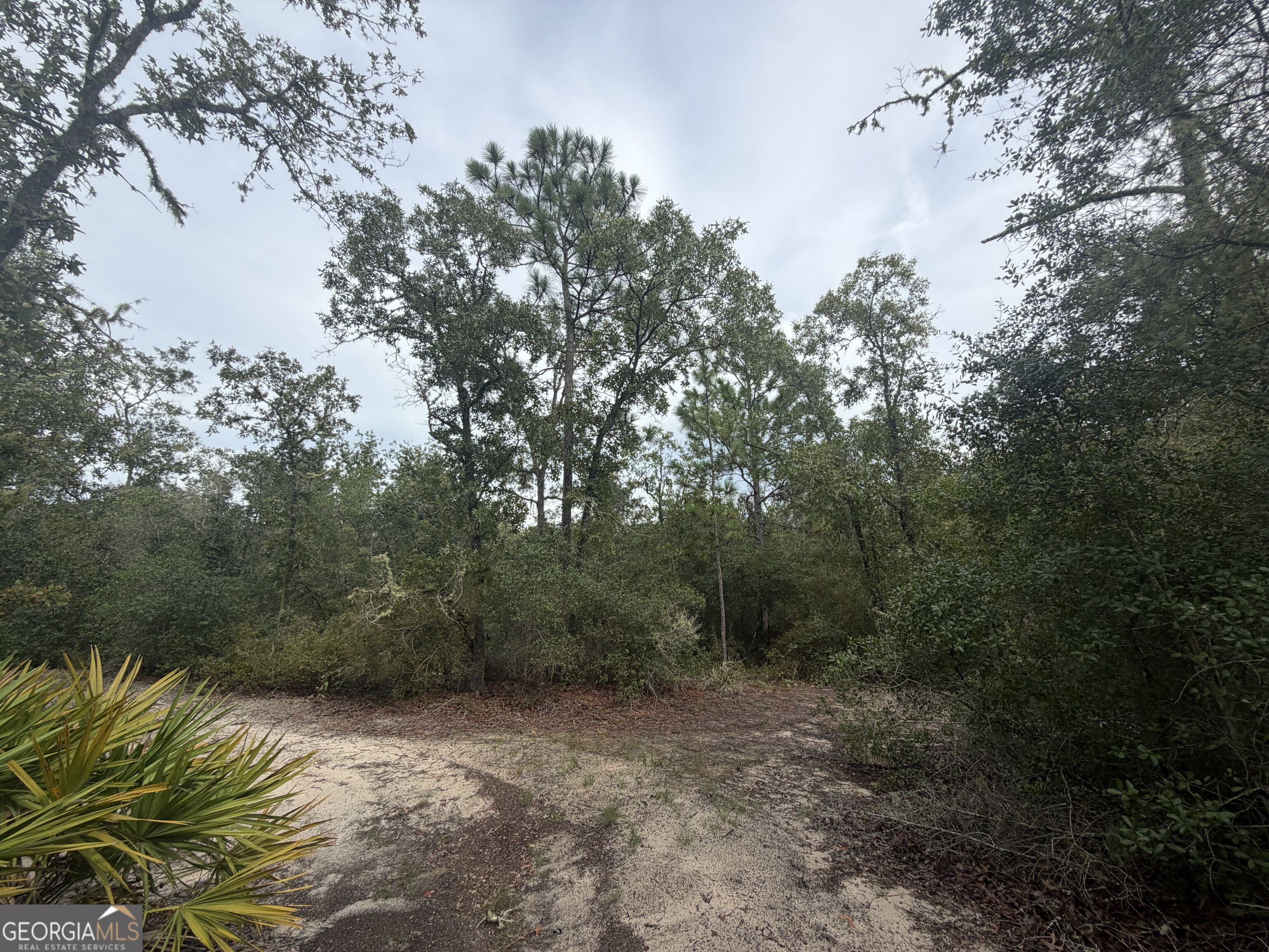 0 Jamestown Road Property Photo 61