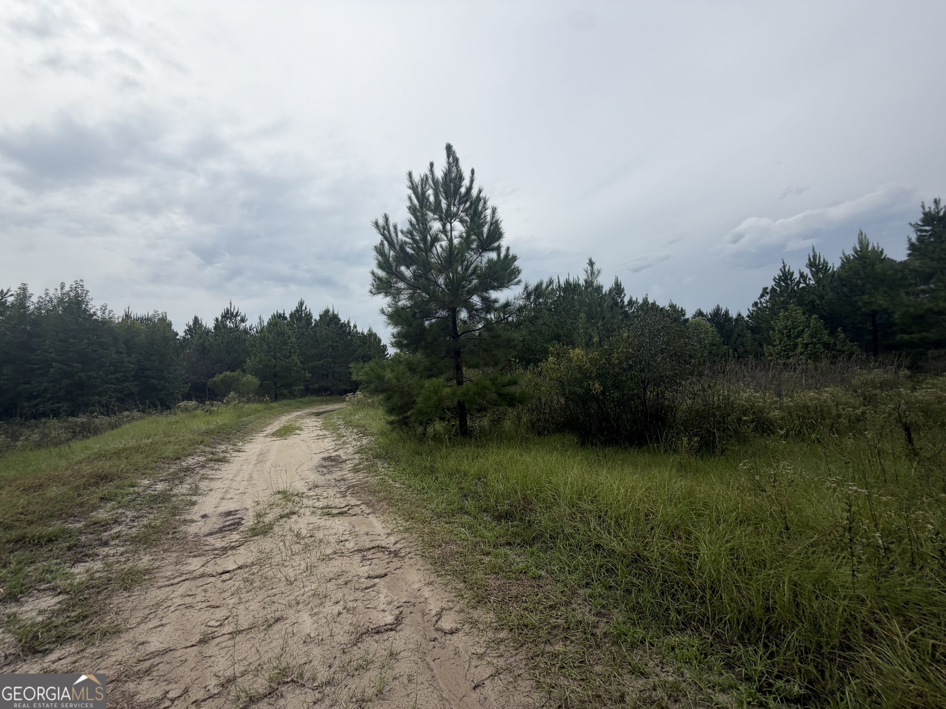 0 Jamestown Road Property Photo 62