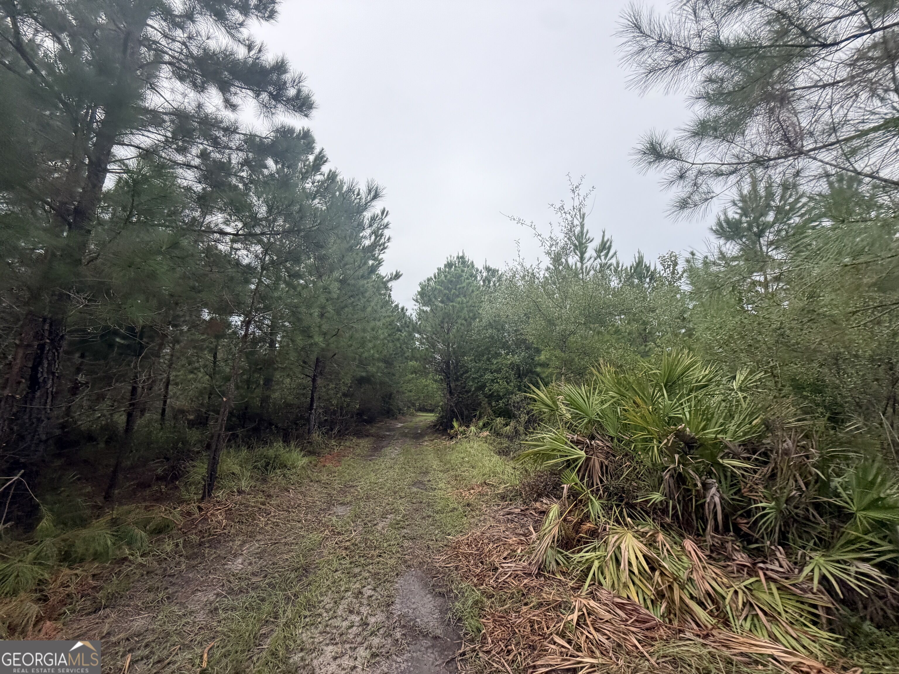 0 Jamestown Road Property Photo 63