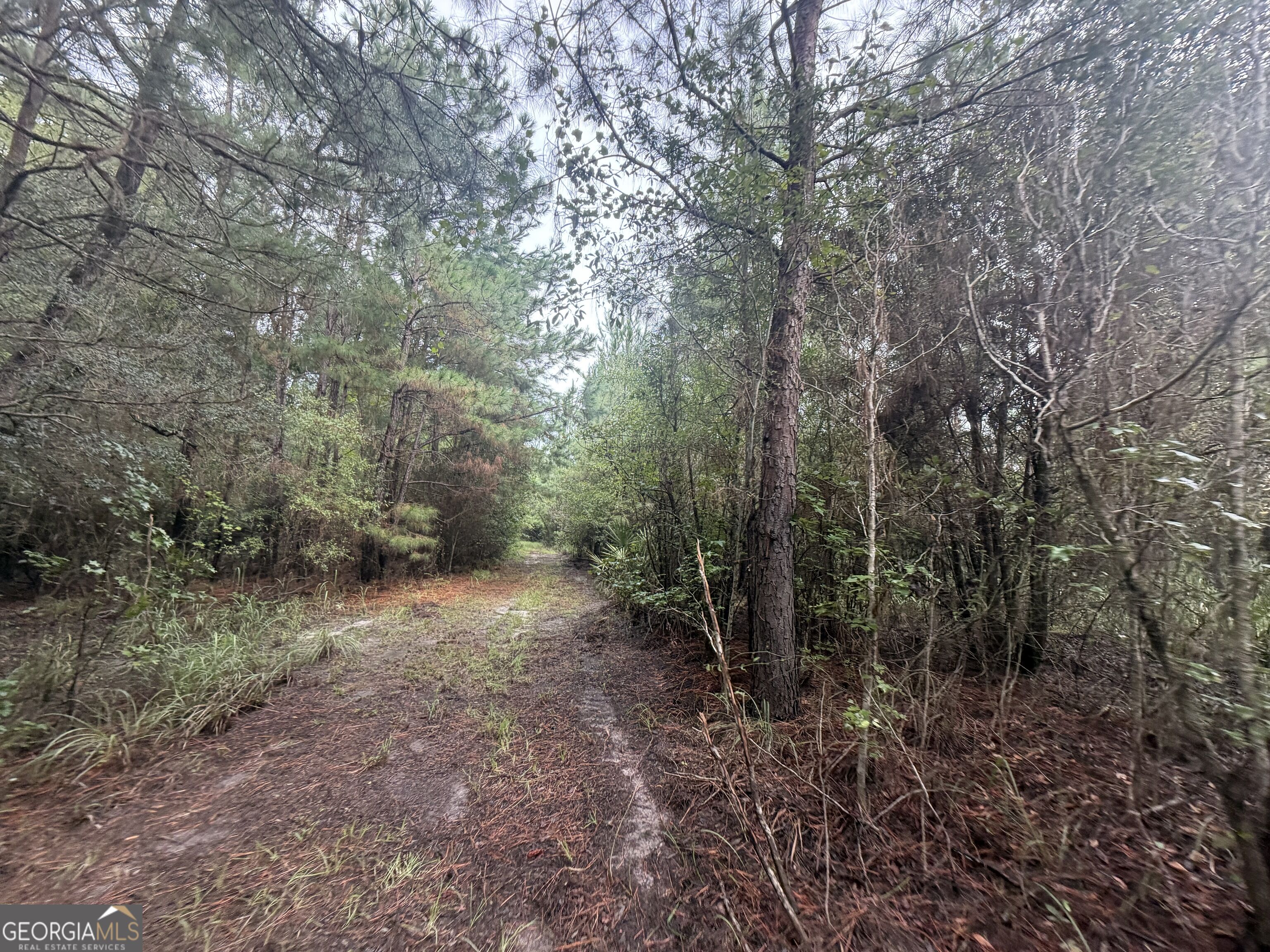 0 Jamestown Road Property Photo 64