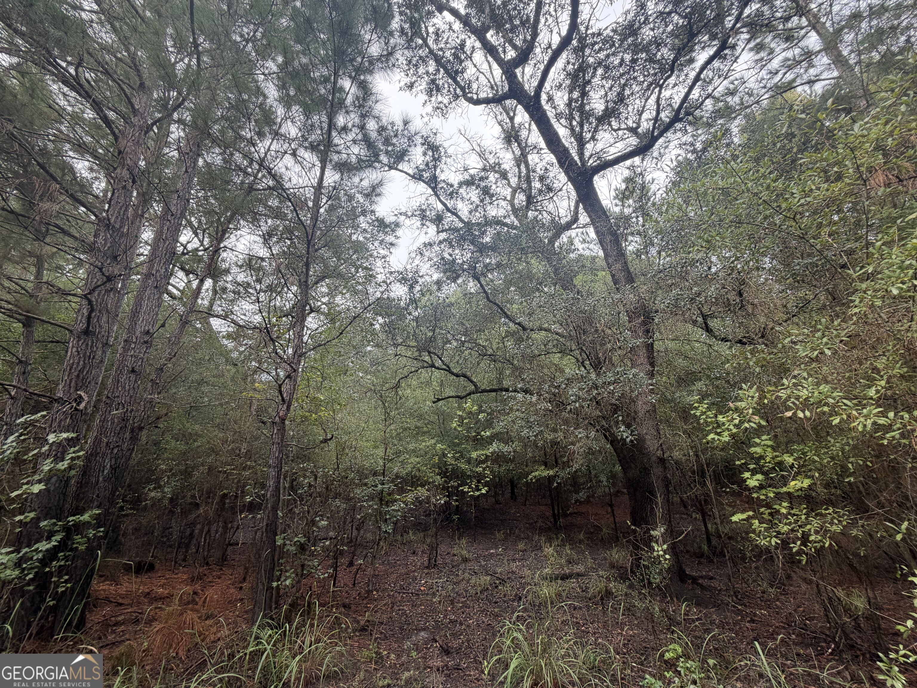 0 Jamestown Road Property Photo 65