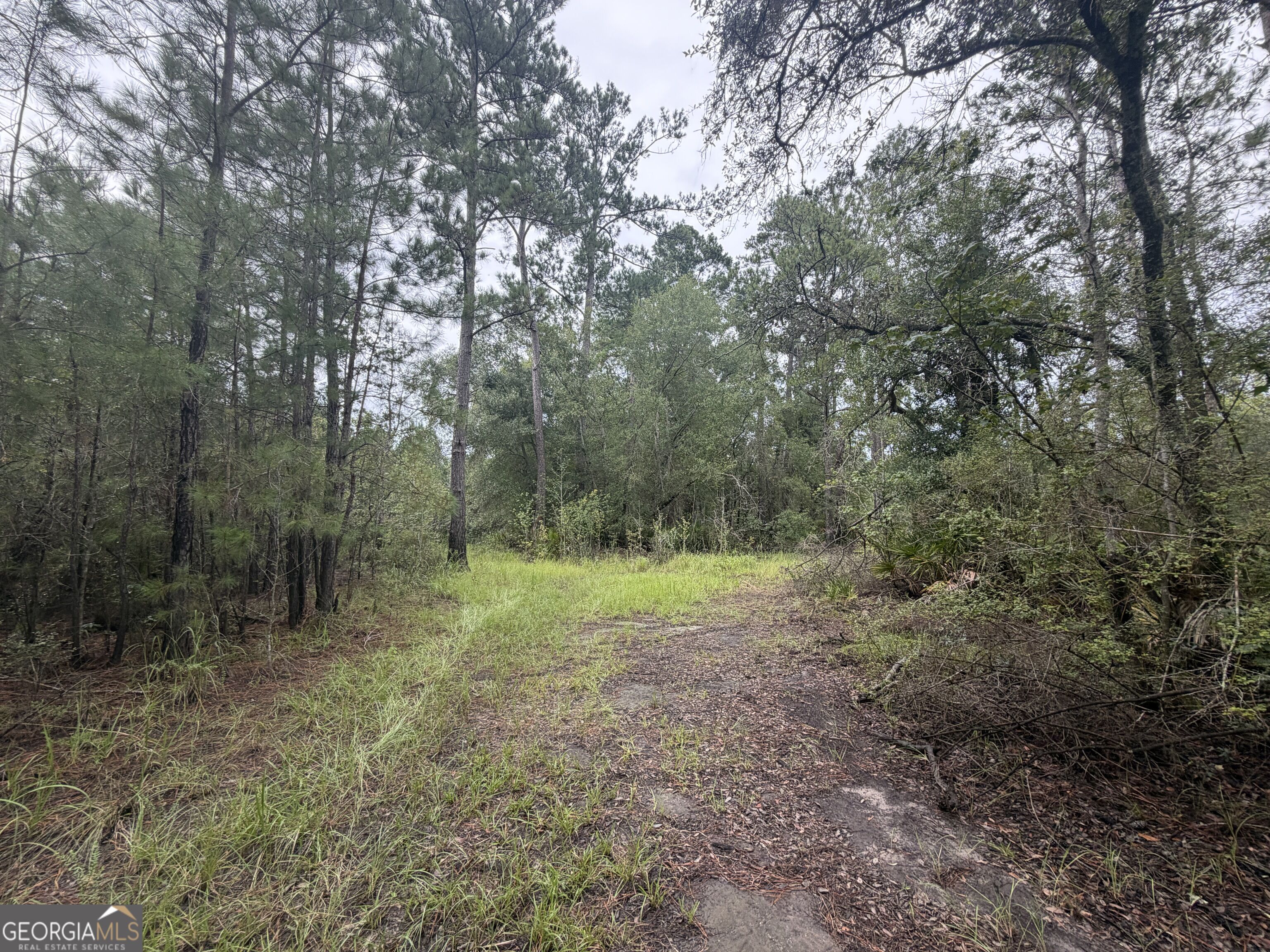 0 Jamestown Road Property Photo 75