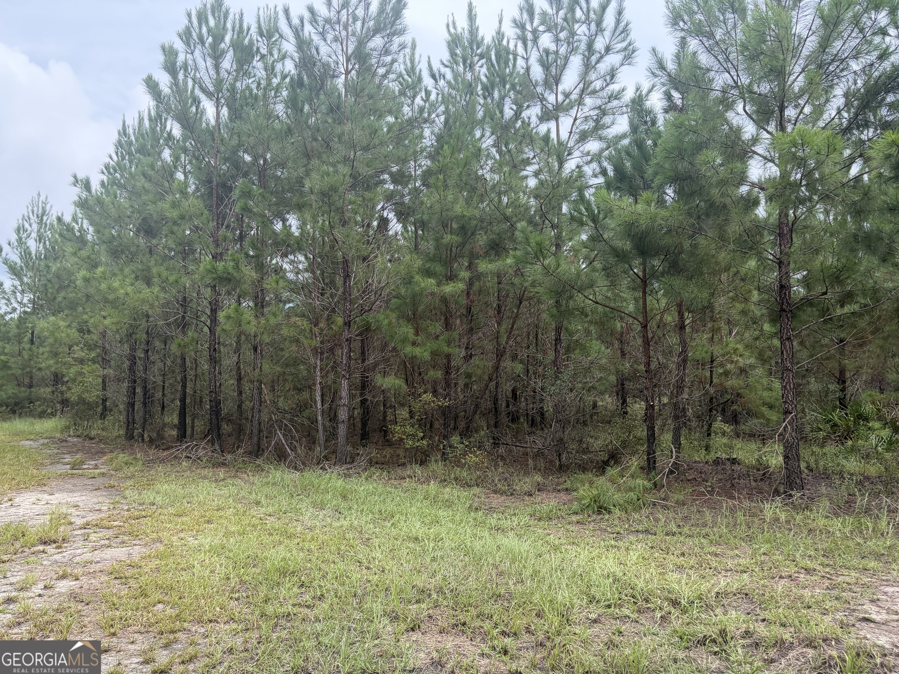 0 Jamestown Road Property Photo 77