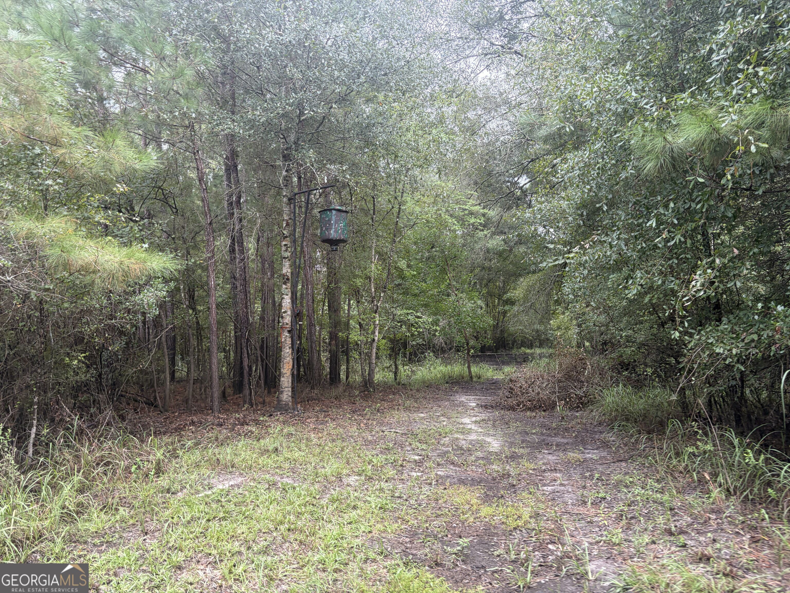 0 Jamestown Road Property Photo 79