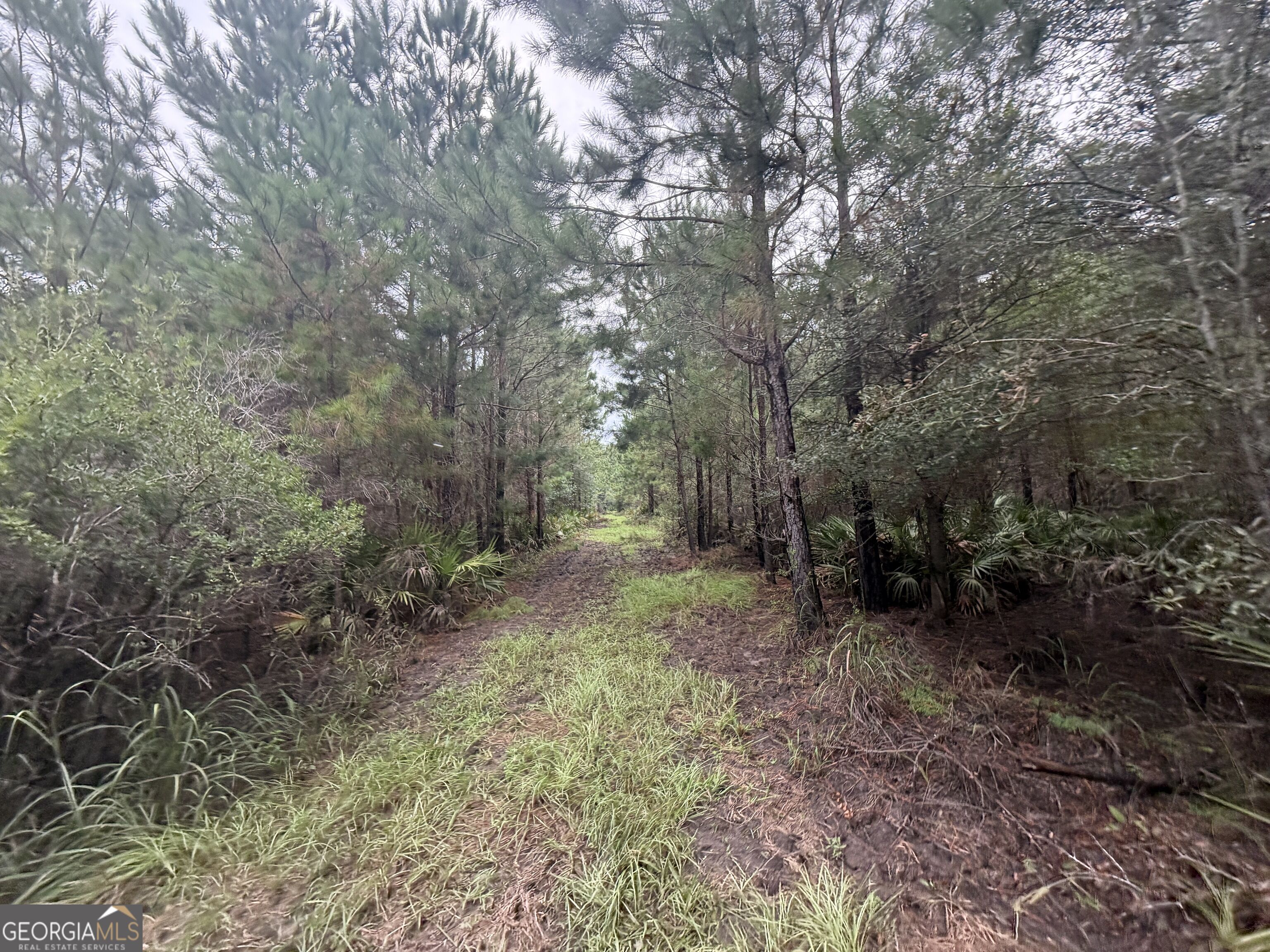 0 Jamestown Road Property Photo 83
