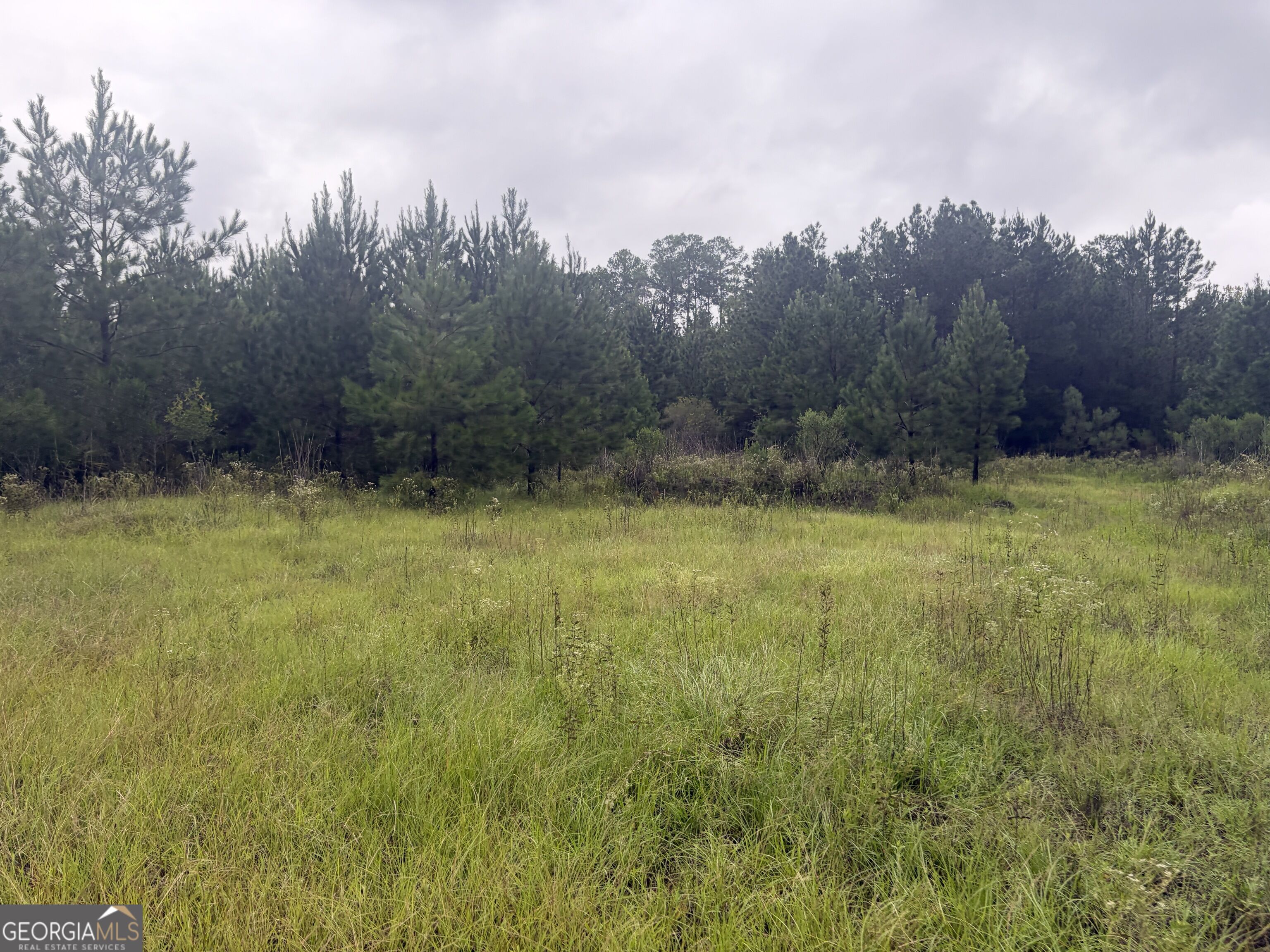 0 Jamestown Road Property Photo 89