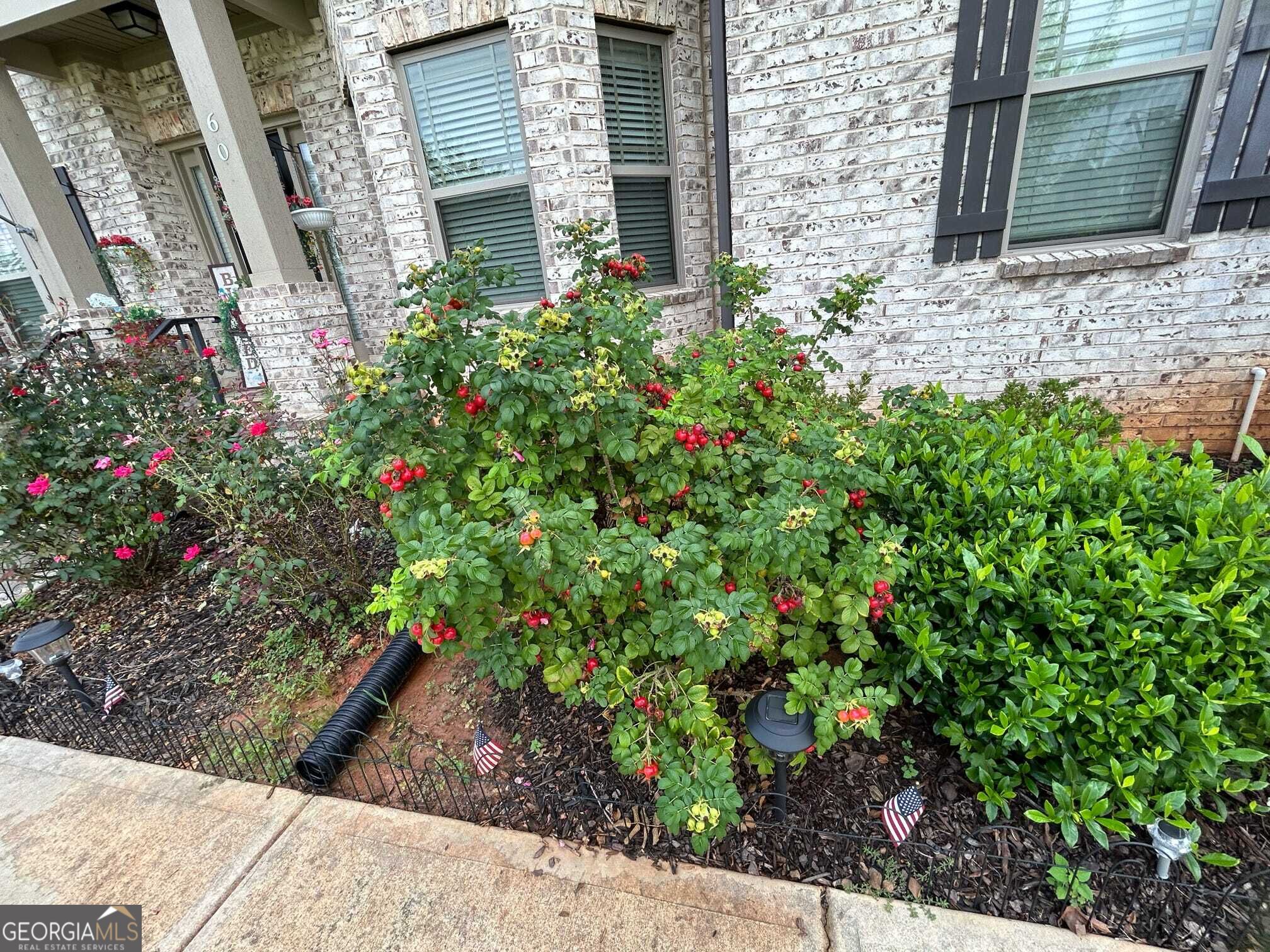 60 Charleston Drive Property Photo 5