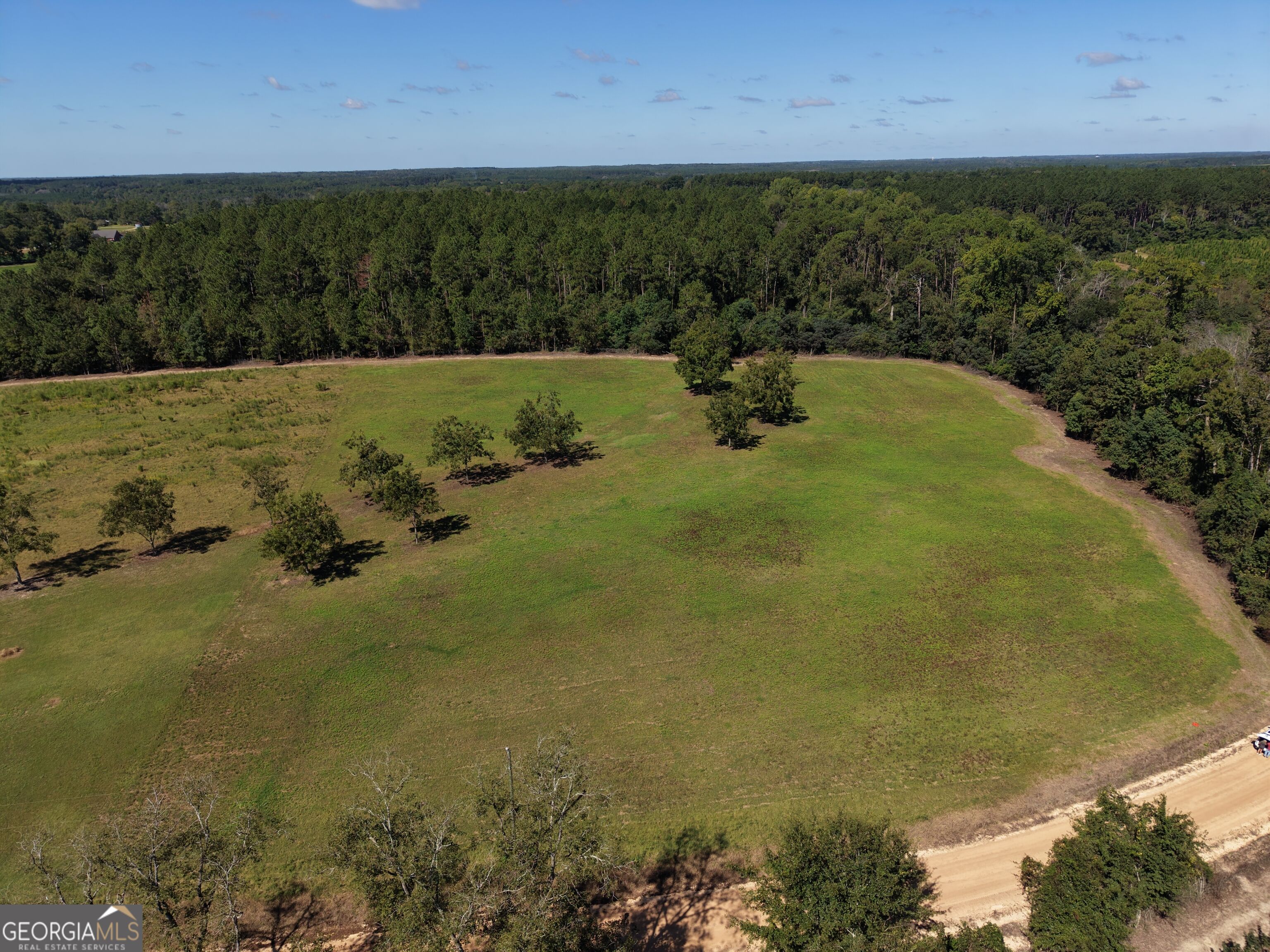 0 Cleon Shuman Road Property Photo 1