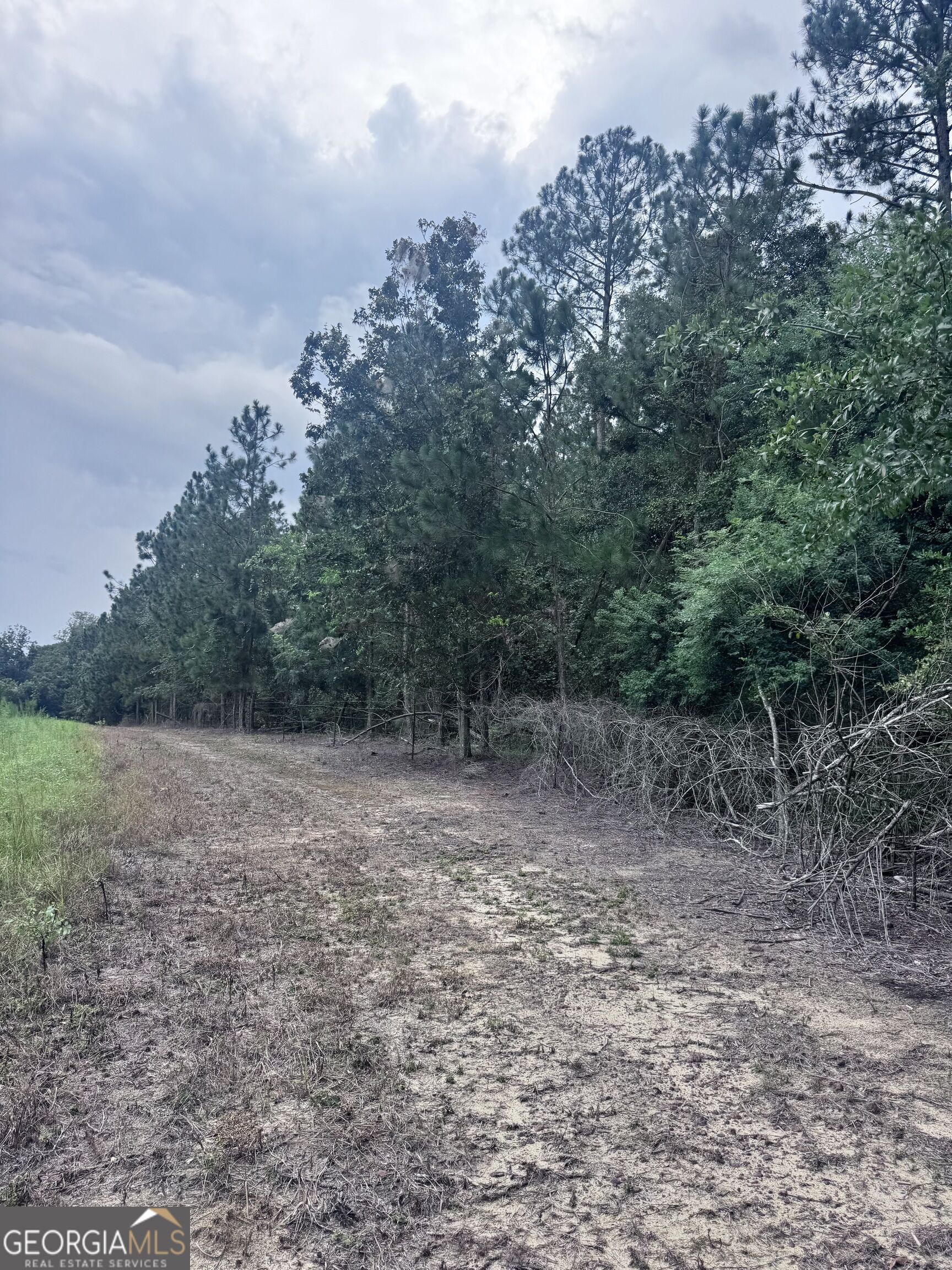 0 Cleon Shuman Road Property Photo 3