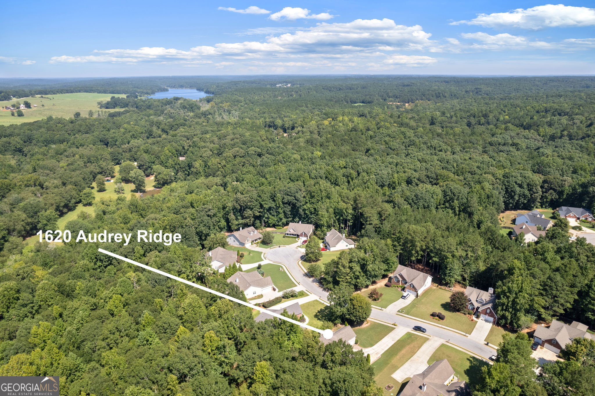 1620 Audreys Ridge Property Photo 28