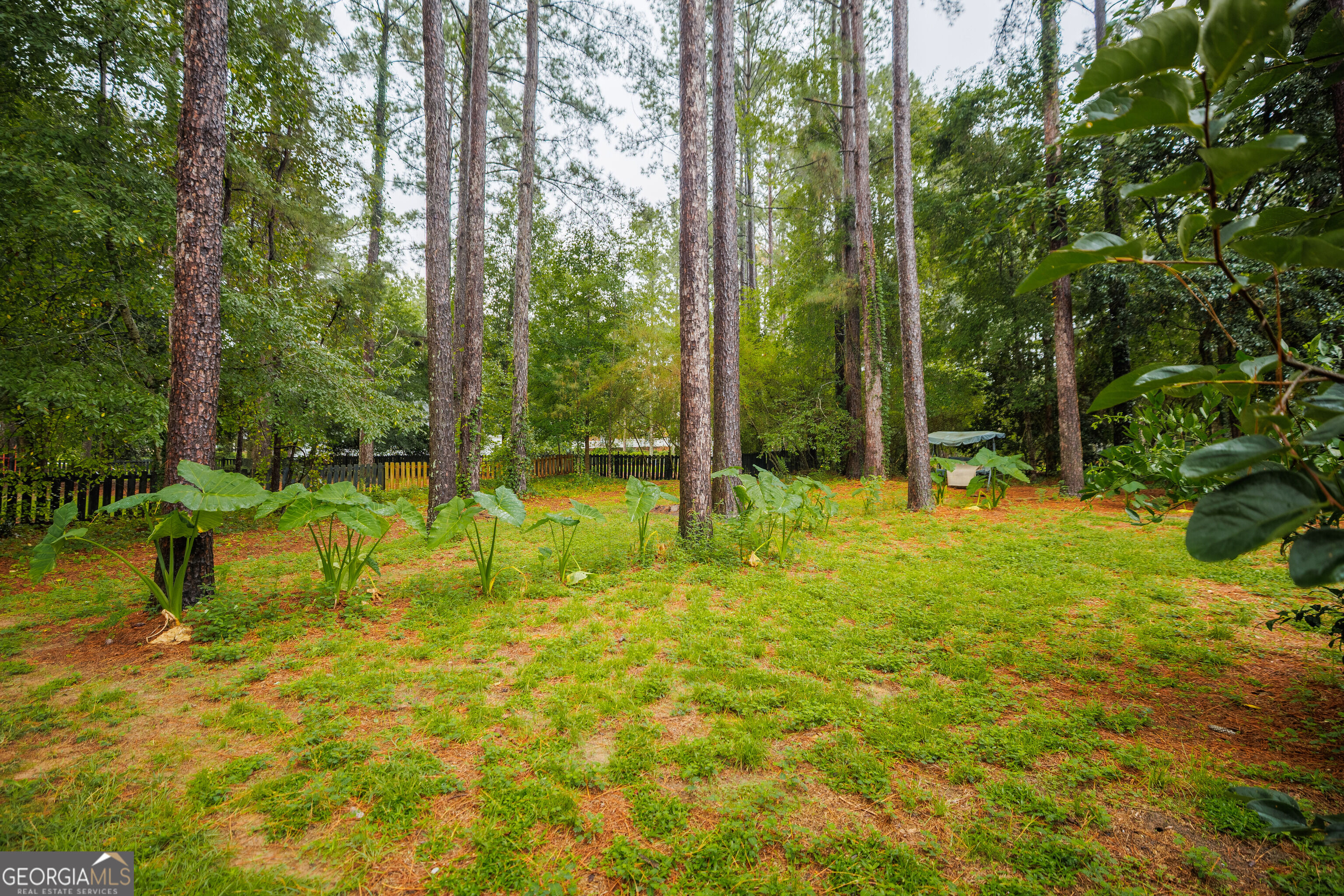 4723 Misty Valley Circle Property Photo 54