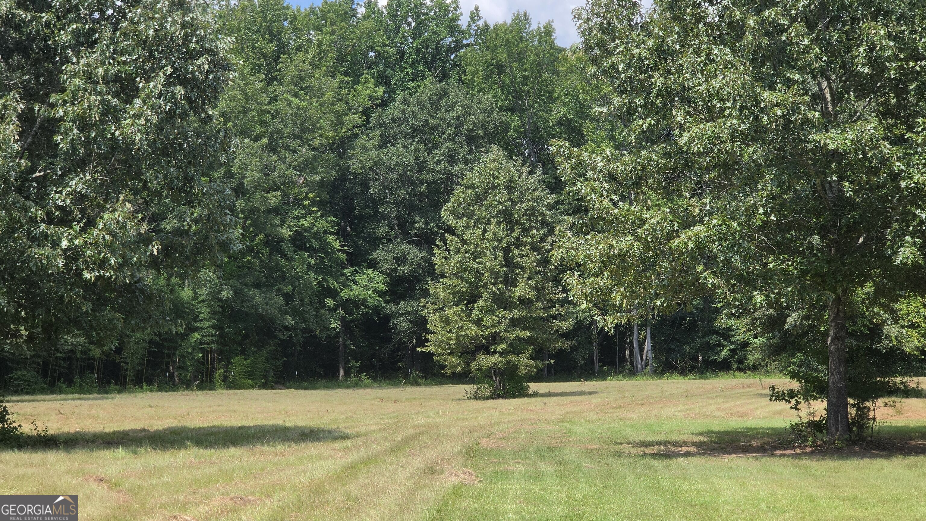 0 Alvaton Rd Property Photo 16