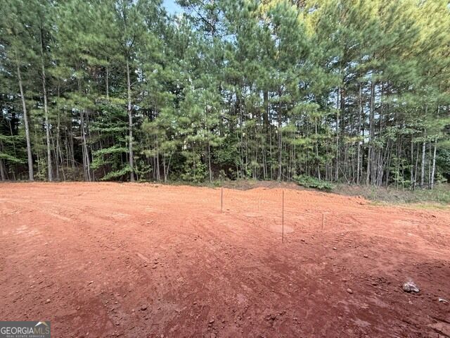 155 Iron Bound Trail Property Photo 11