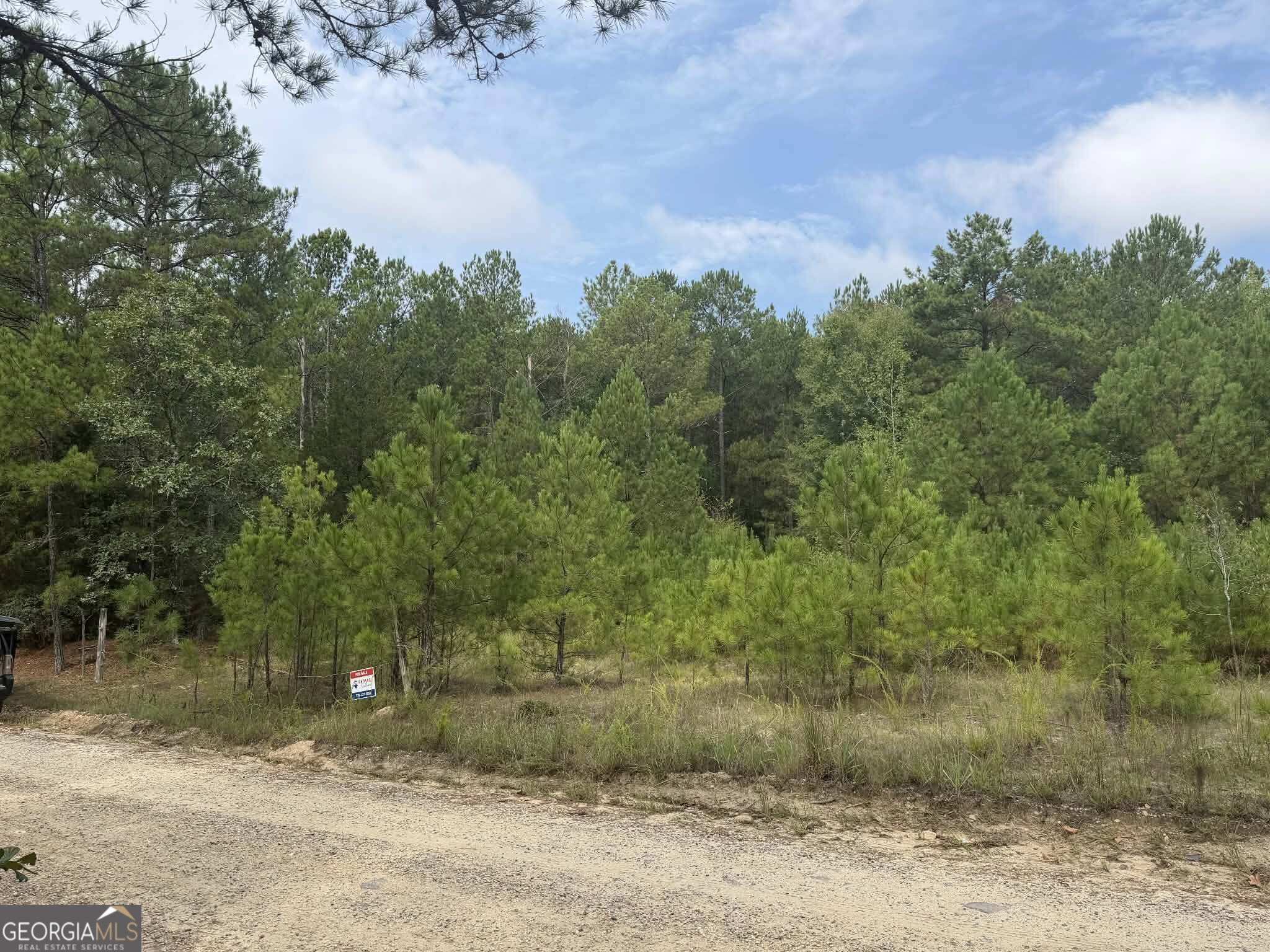 0 Smith Mill Road Property Photo 3