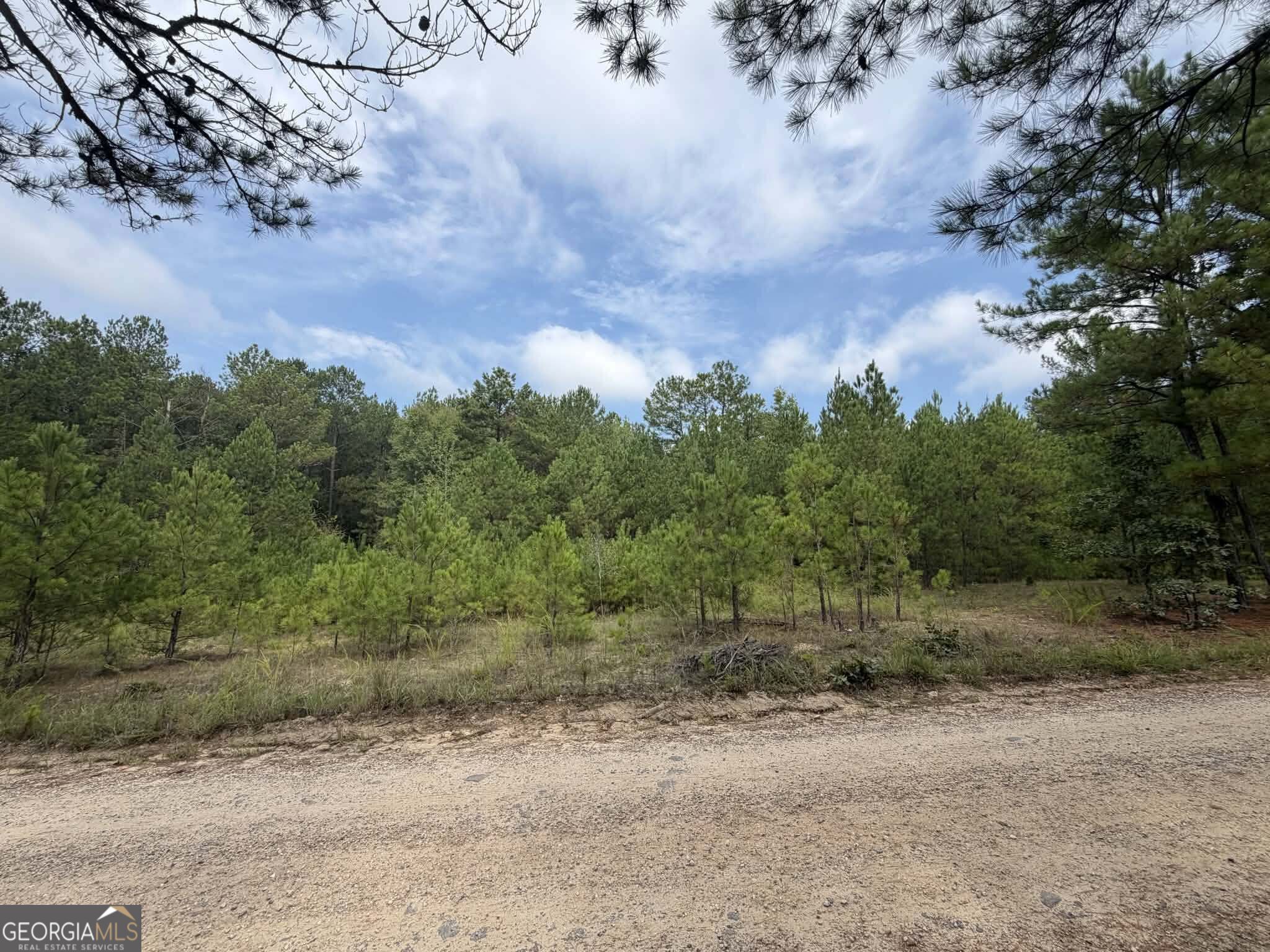 0 Smith Mill Road Property Photo 6