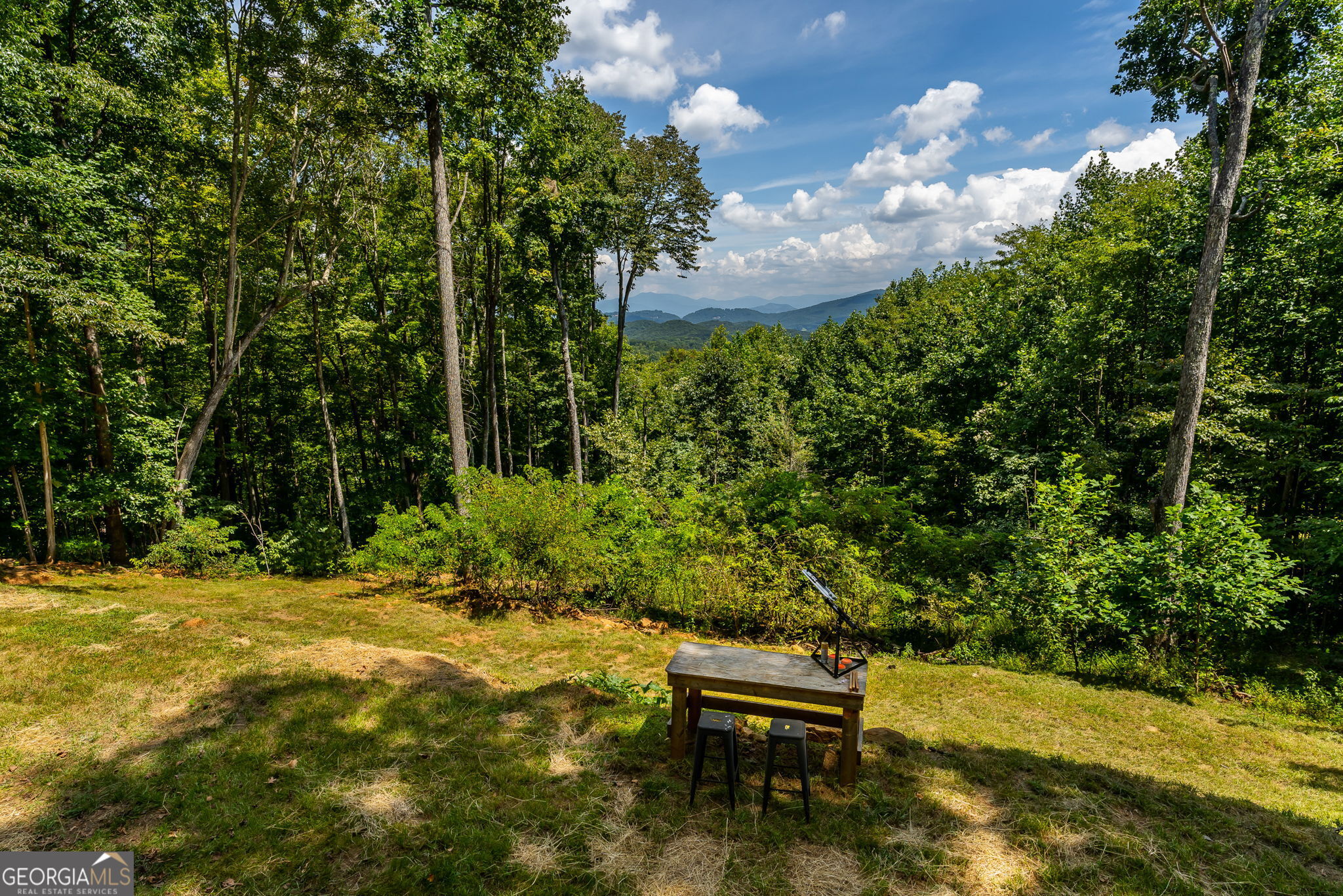 579 Overlook Circle Property Photo 44