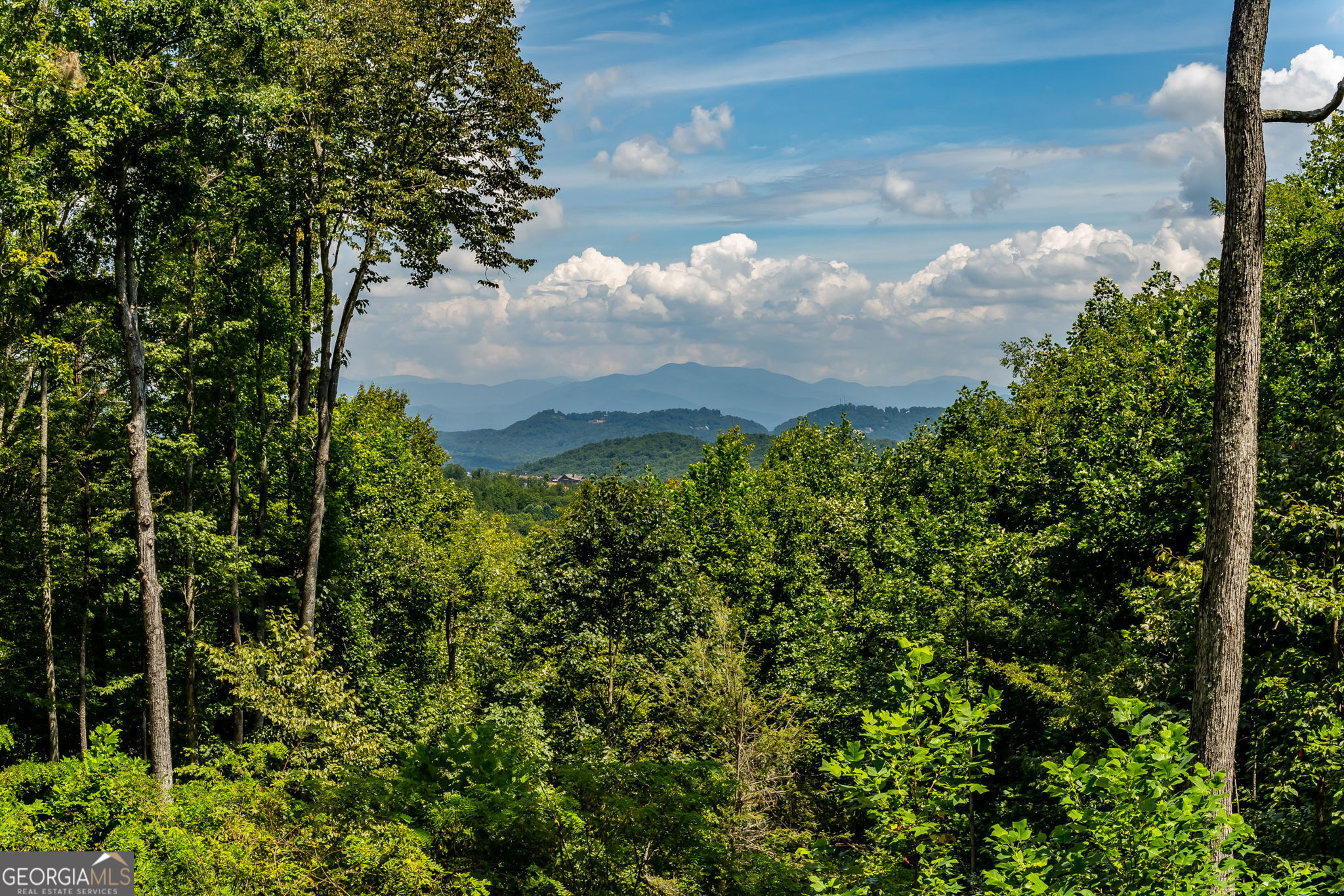 579 Overlook Circle Property Photo 45