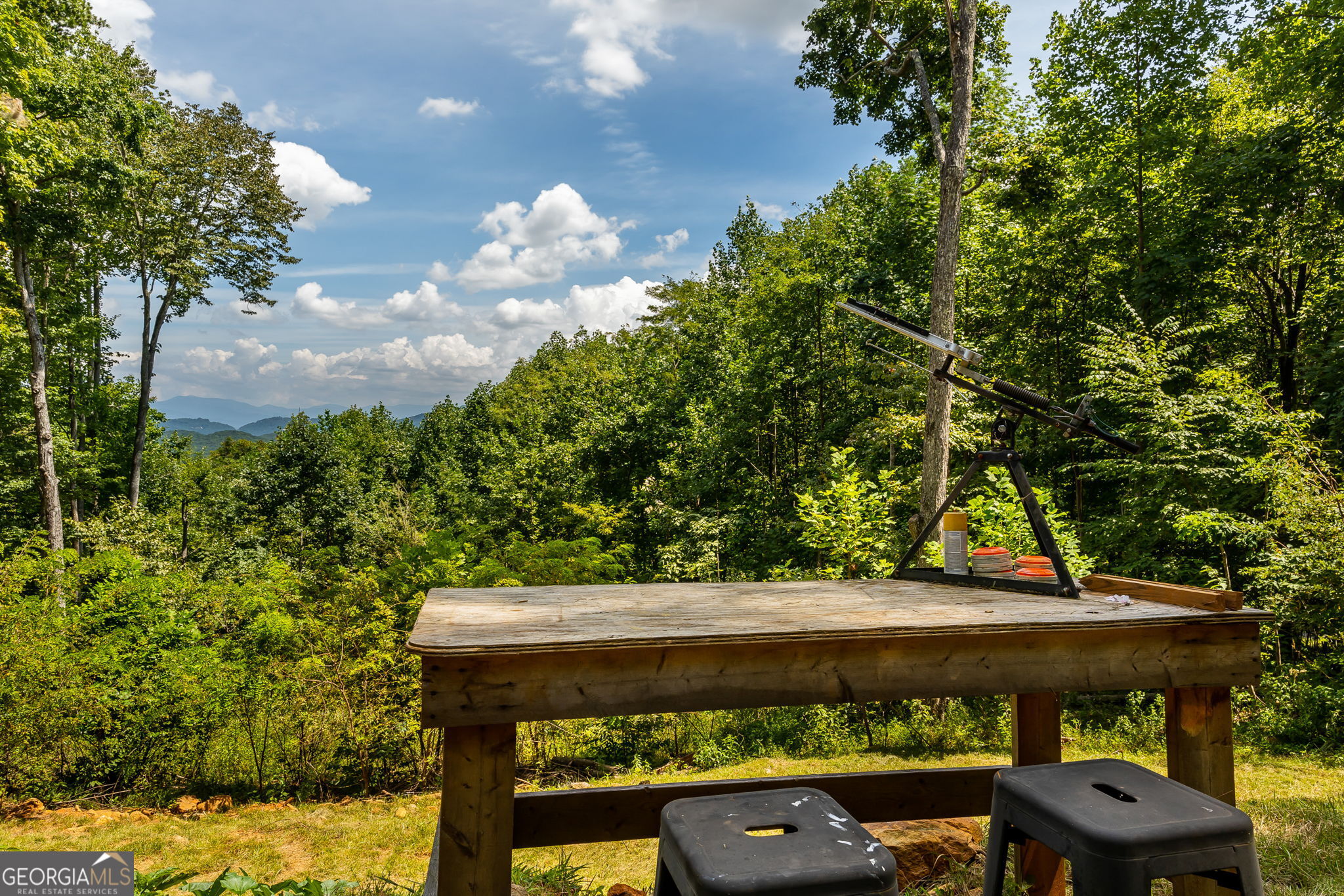579 Overlook Circle Property Photo 46