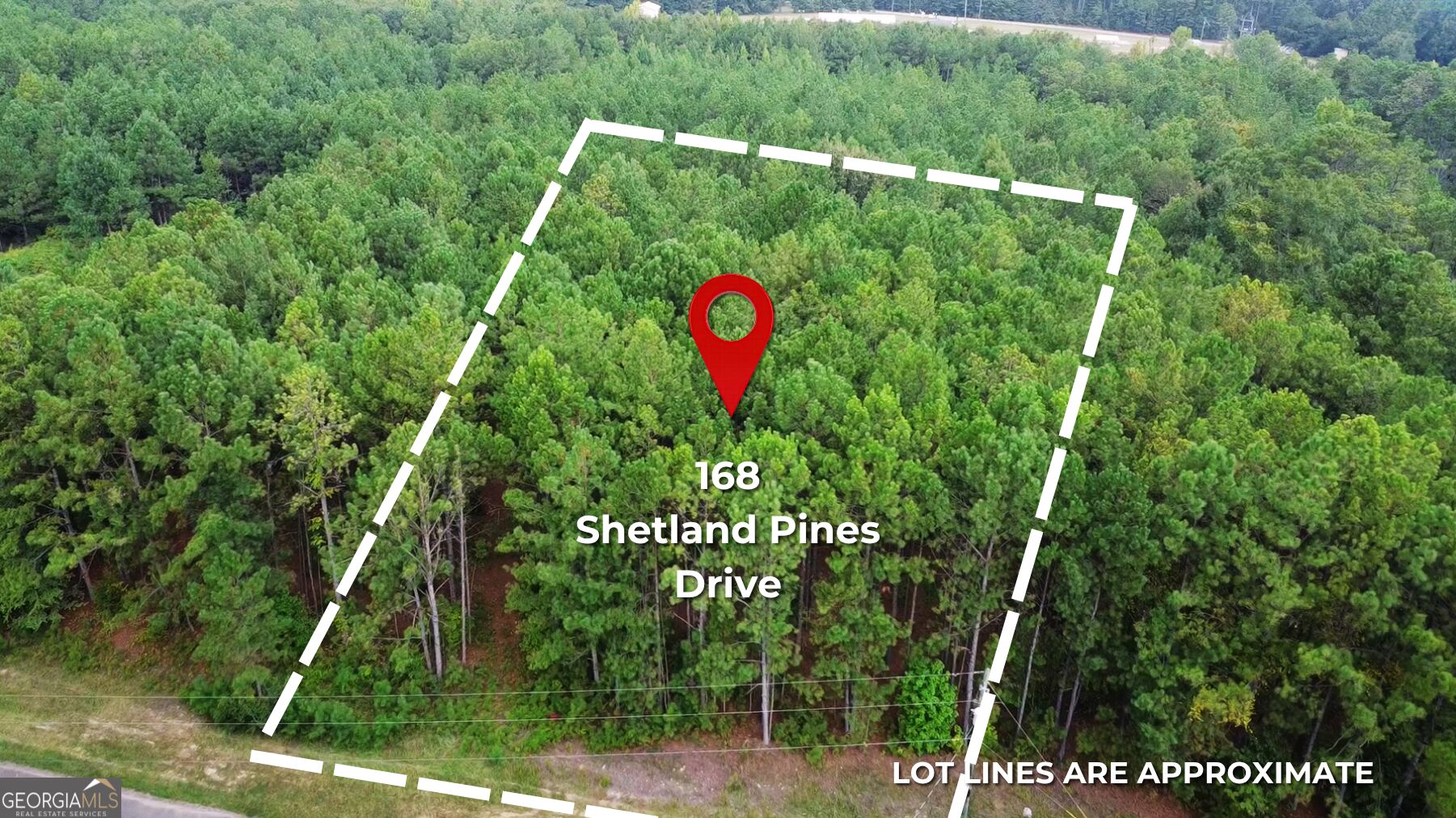 168 Shetland Pines Drive Property Photo 1