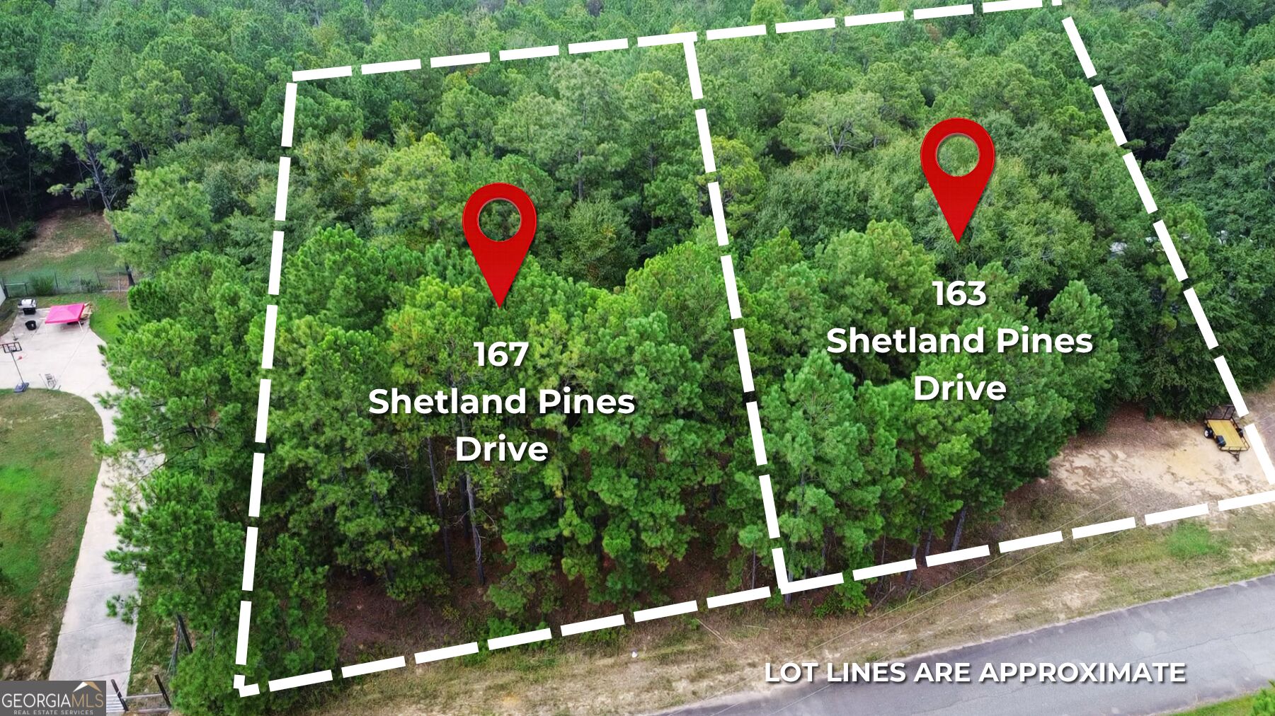 163 Shetland Pines Drive Property Photo 1